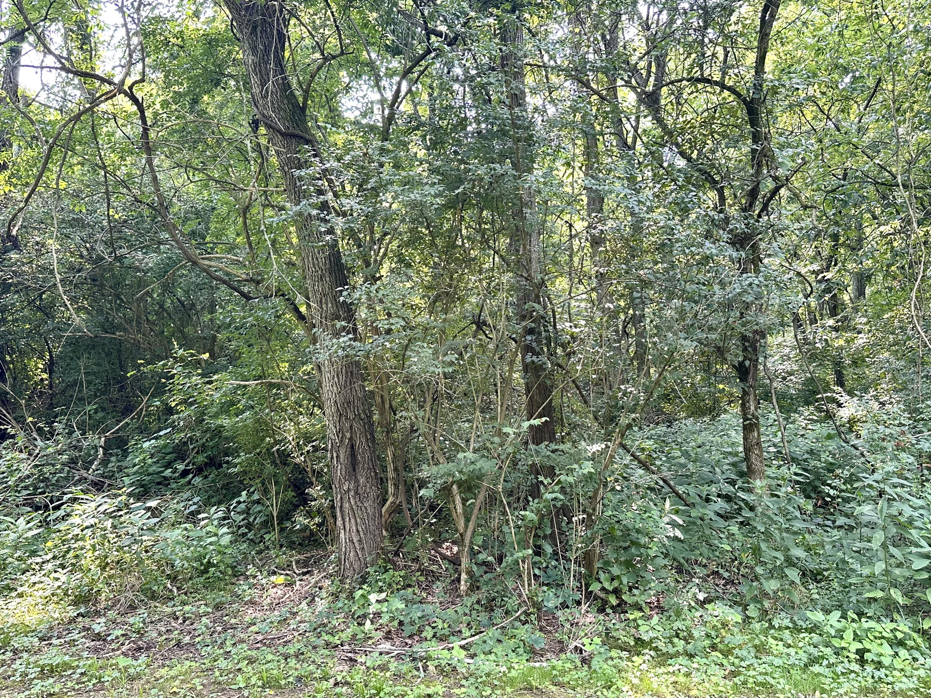 1-a Concord Road Property Photo 11