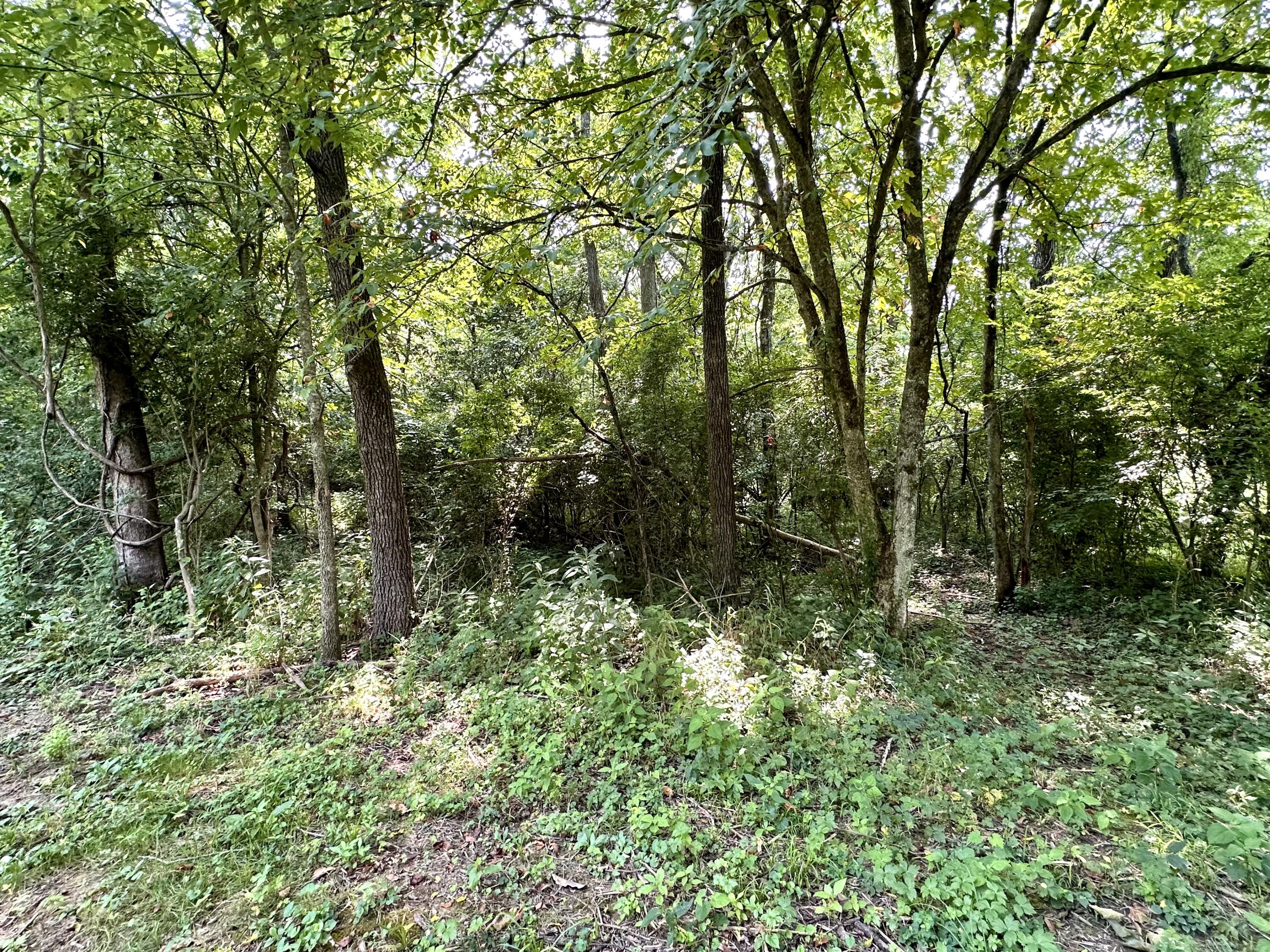 1-a Concord Road Property Photo 12
