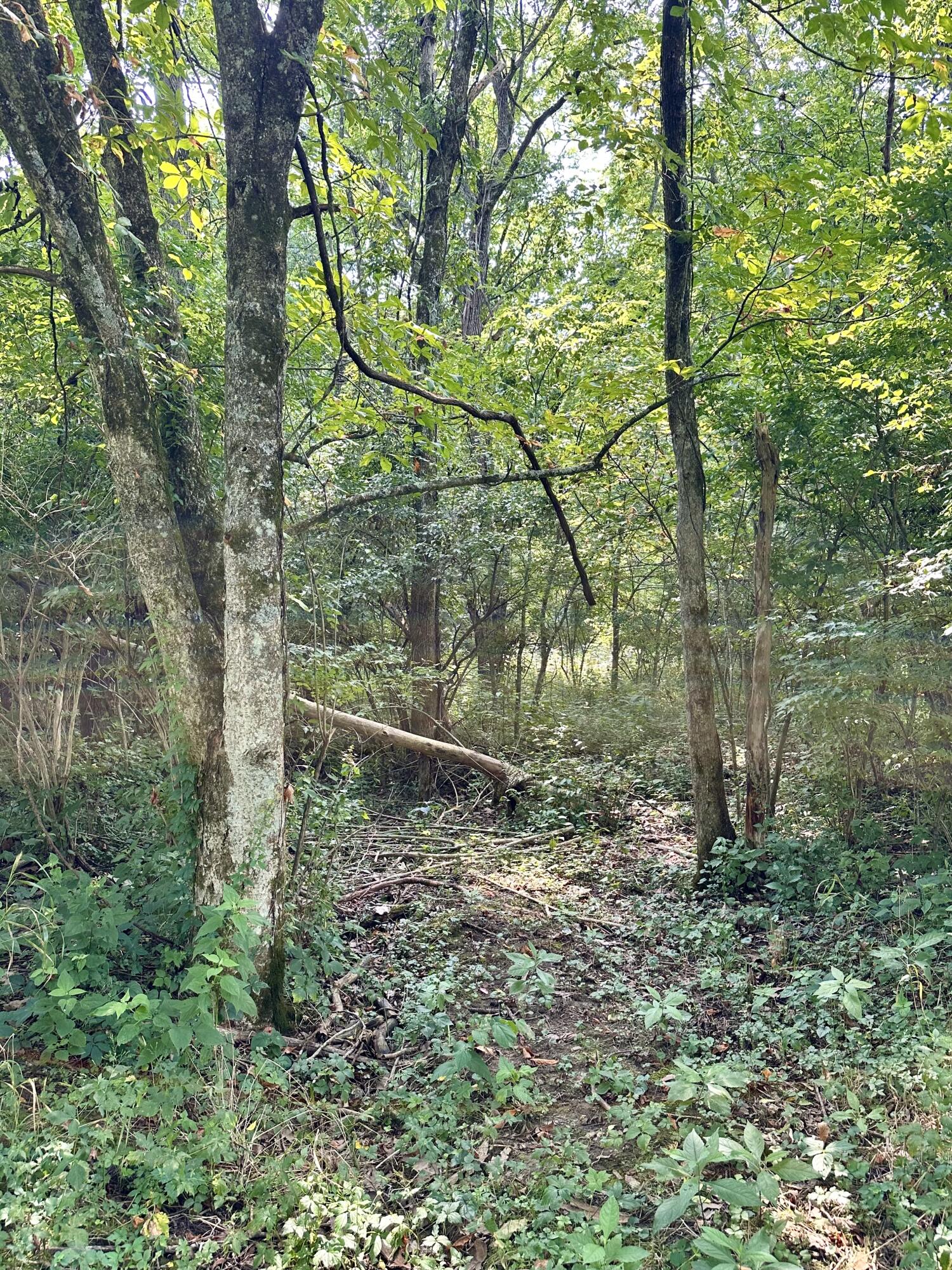 1-a Concord Road Property Photo 13