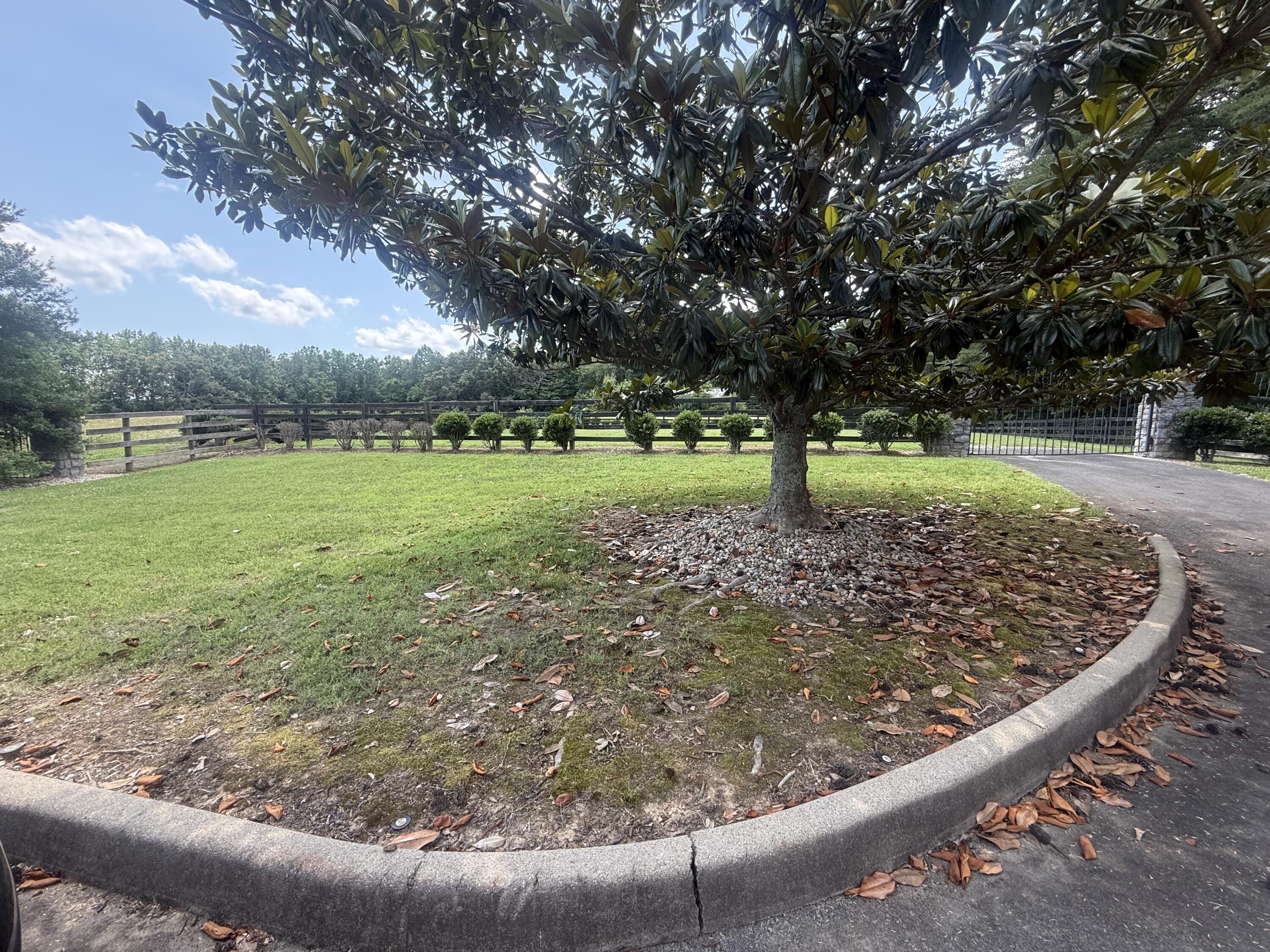 71 Boman Point Property Photo 3