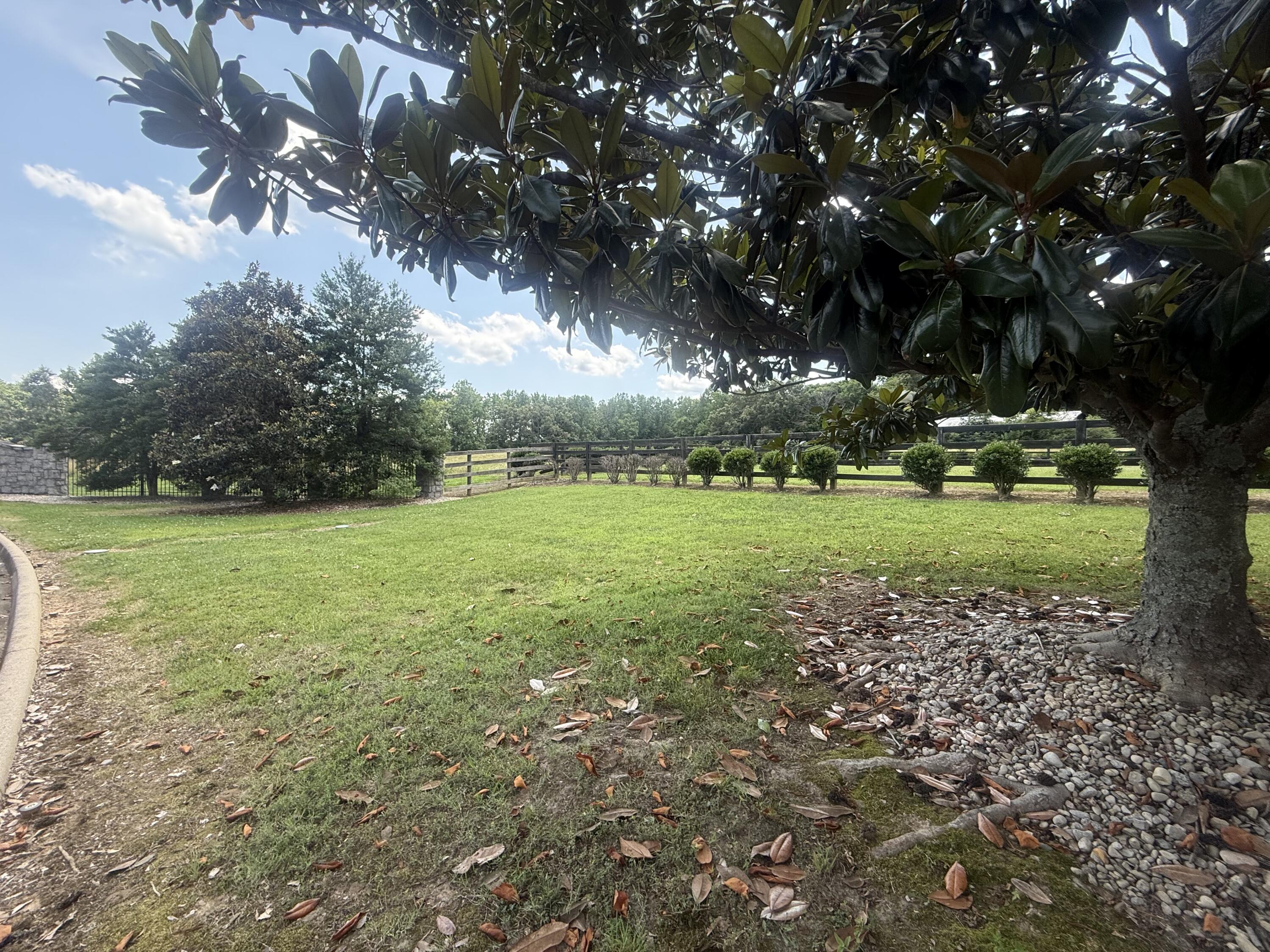 71 Boman Point Property Photo 4