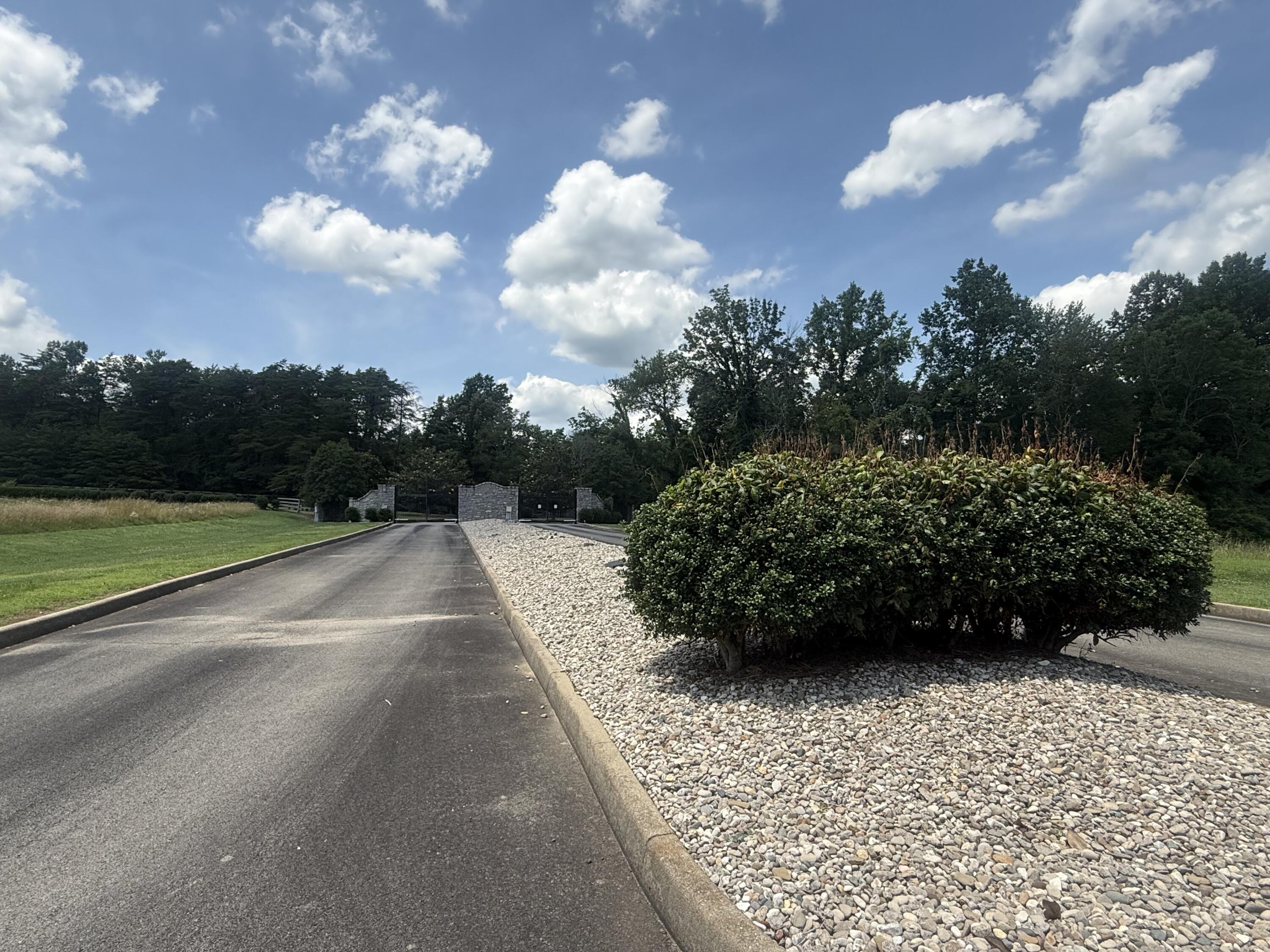 71 Boman Point Property Photo 5