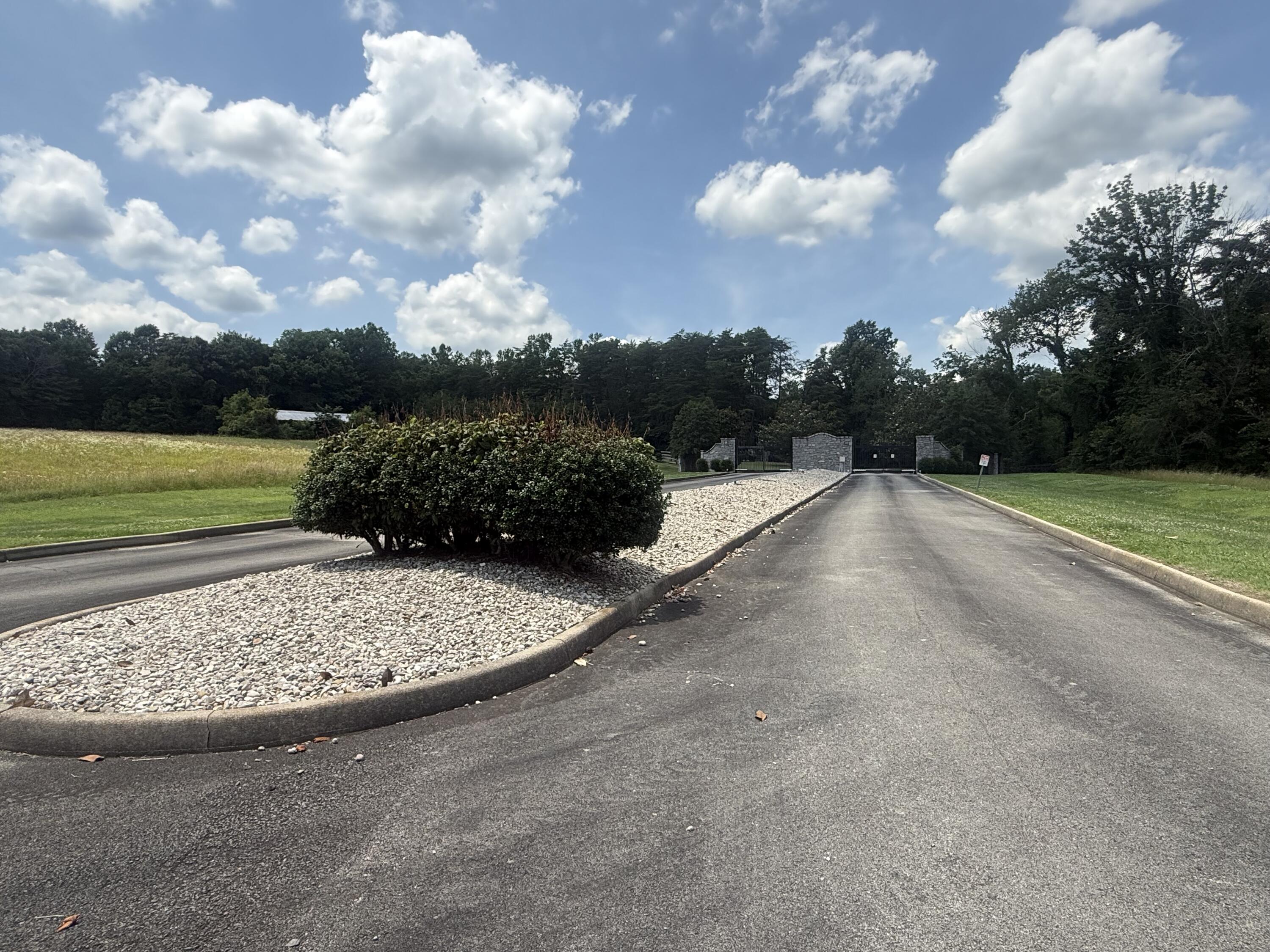 71 Boman Point Property Photo 6