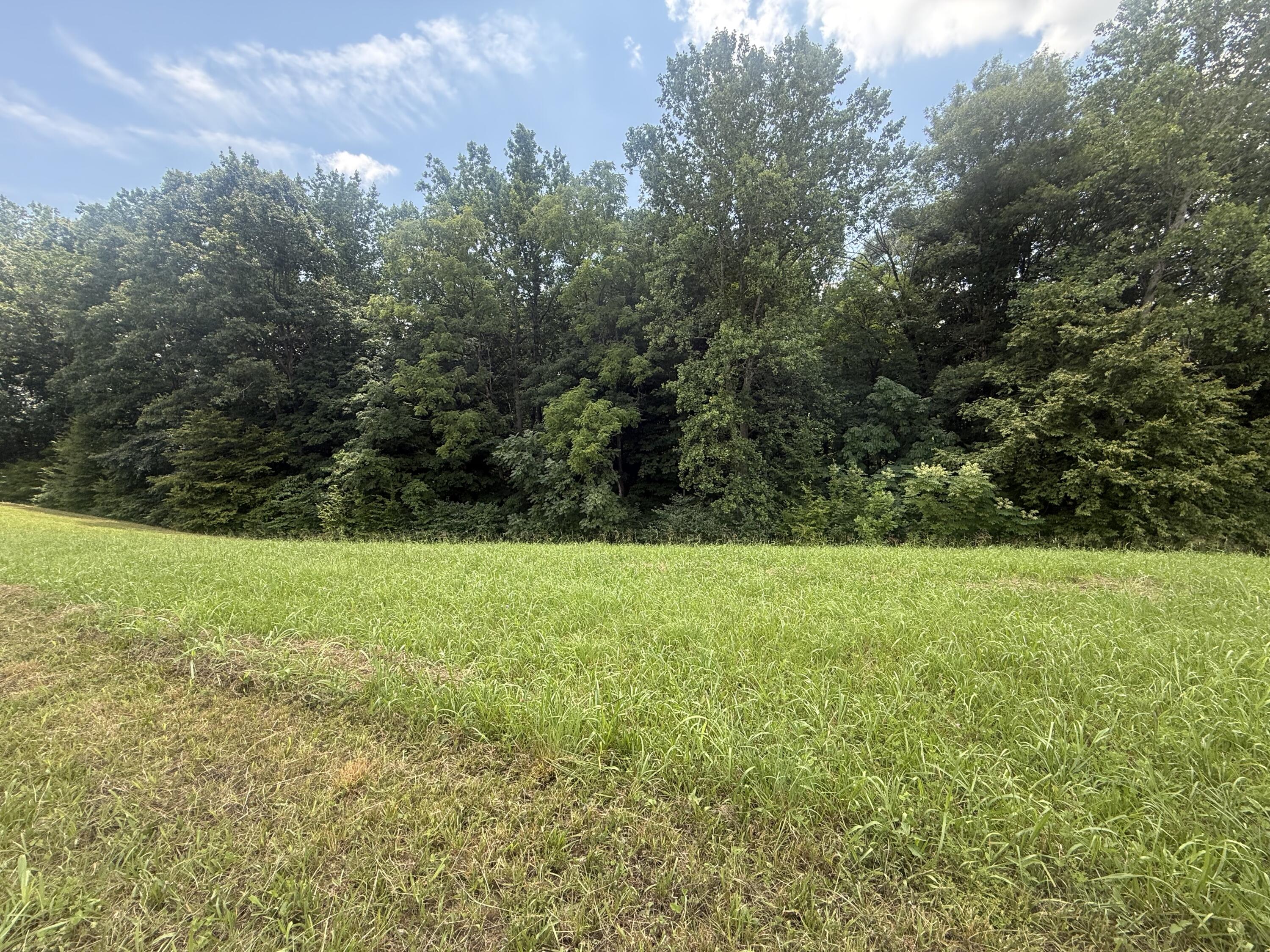 71 Boman Point Property Photo 11