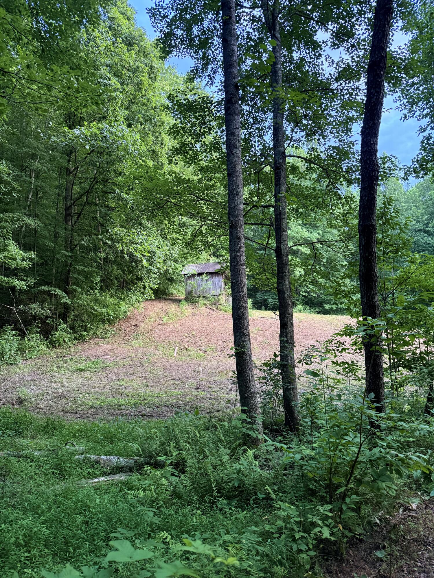 0 Mainous Road Property Photo 2