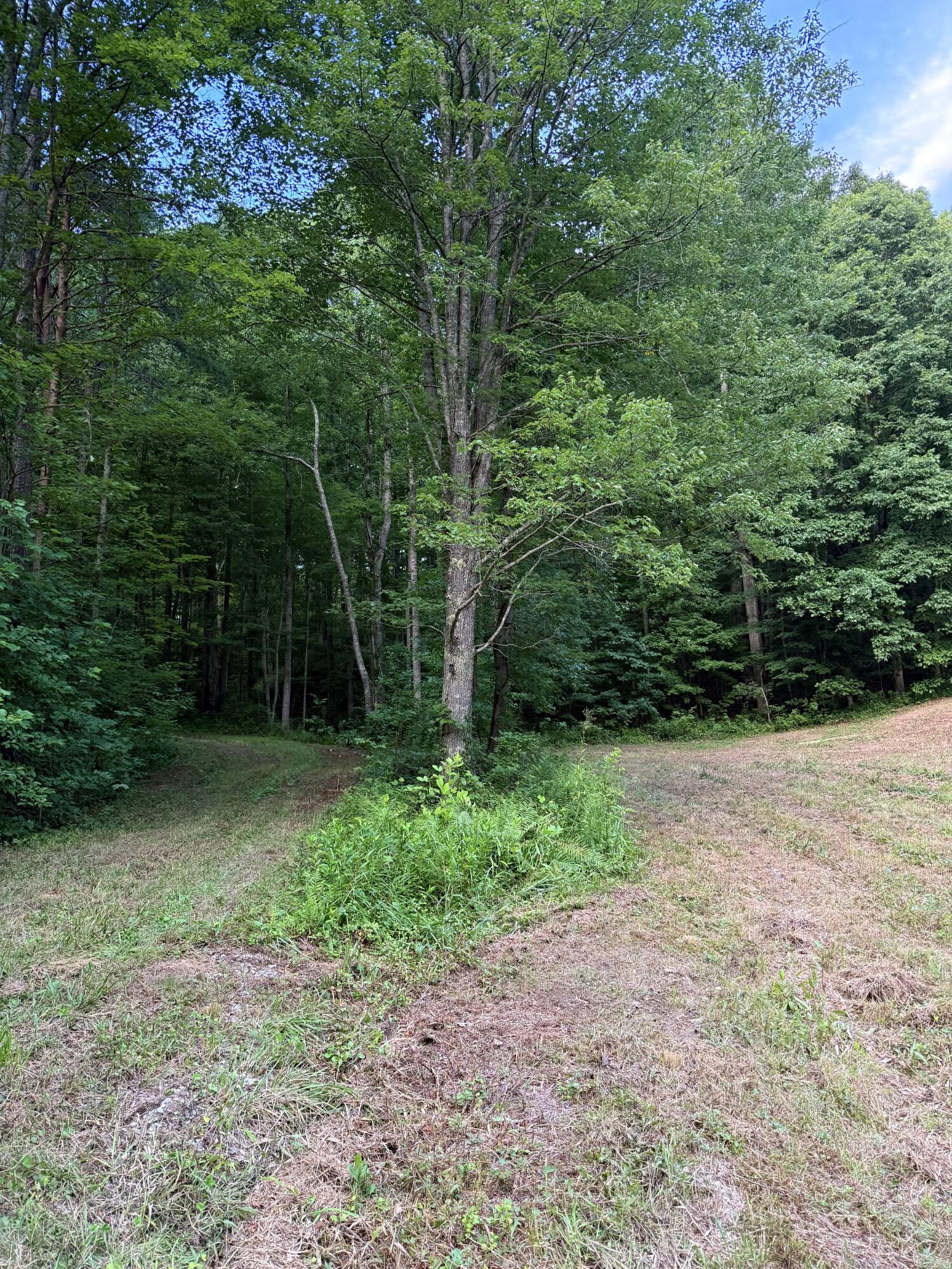 0 Mainous Road Property Photo 3