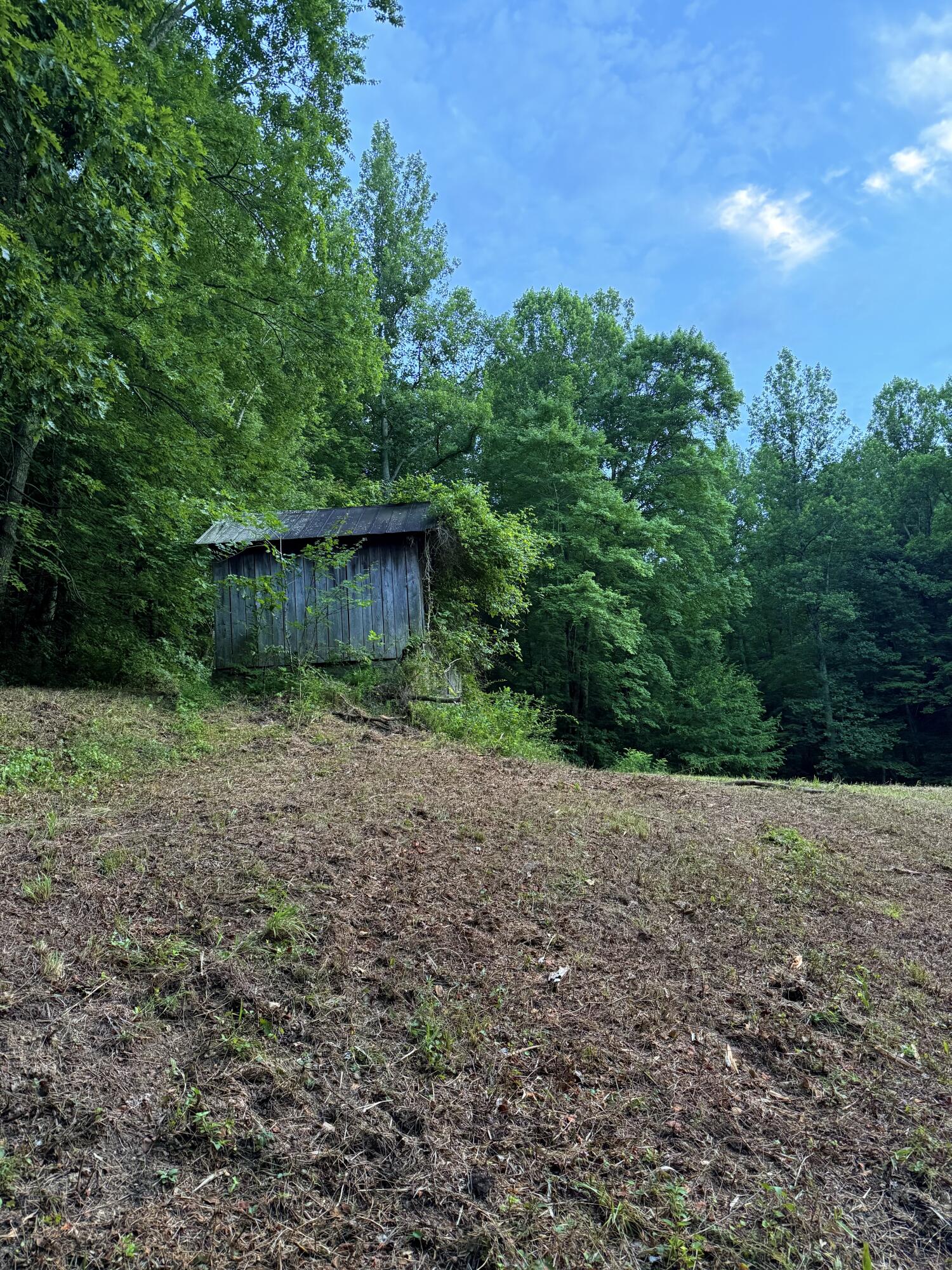 0 Mainous Road Property Photo 6