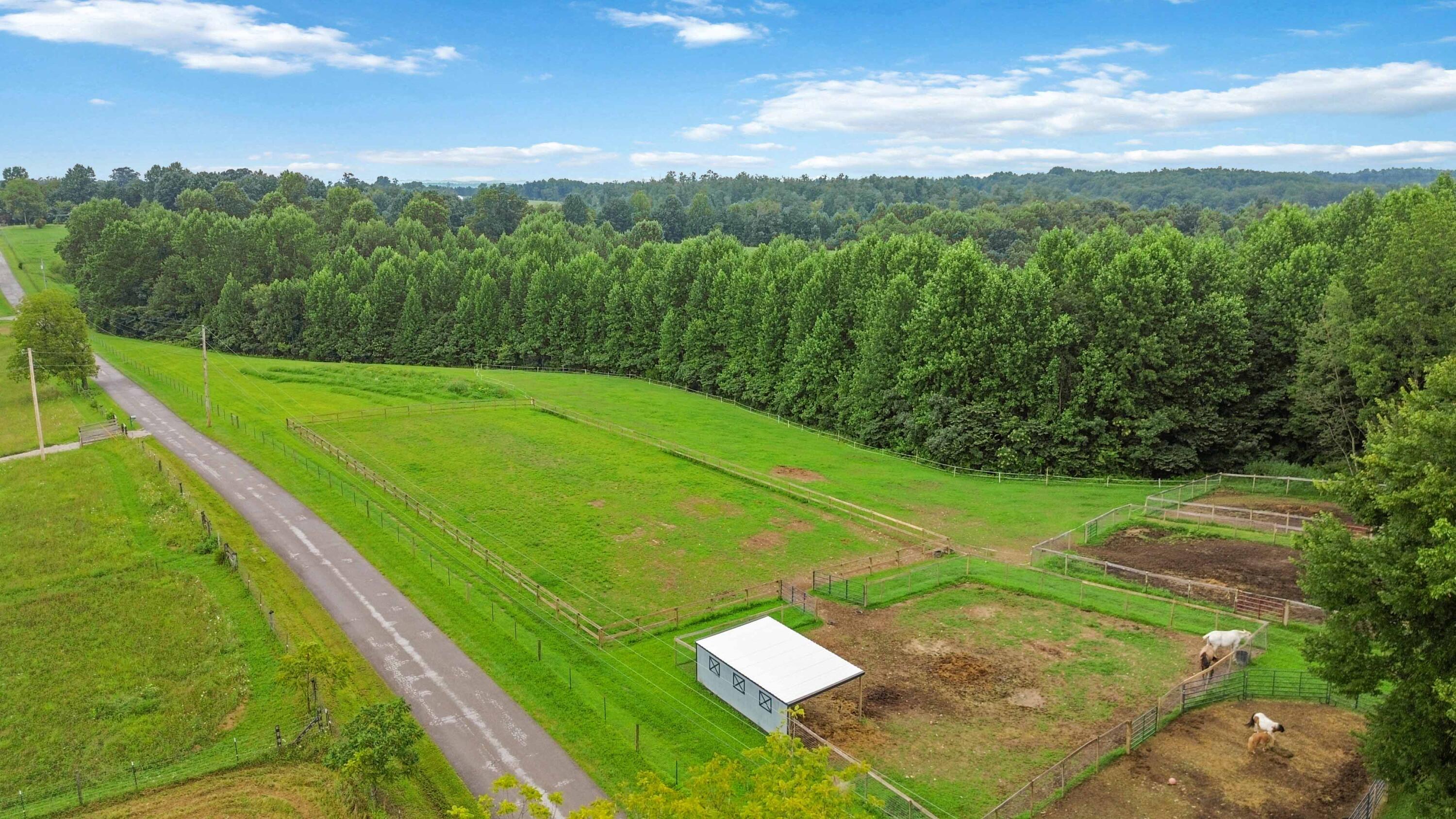 547 Trace Fork Road Property Photo 4