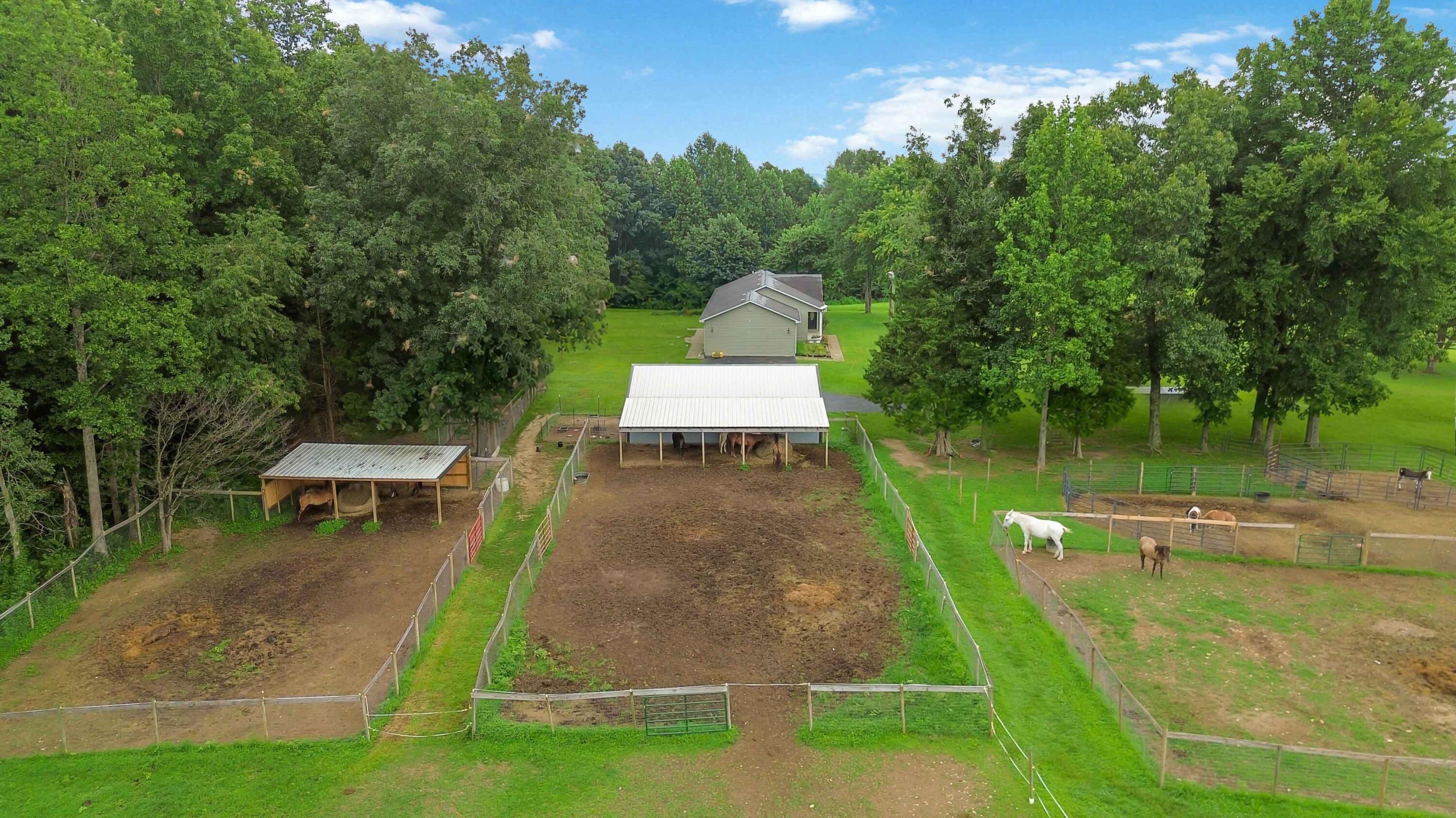 547 Trace Fork Road Property Photo 6