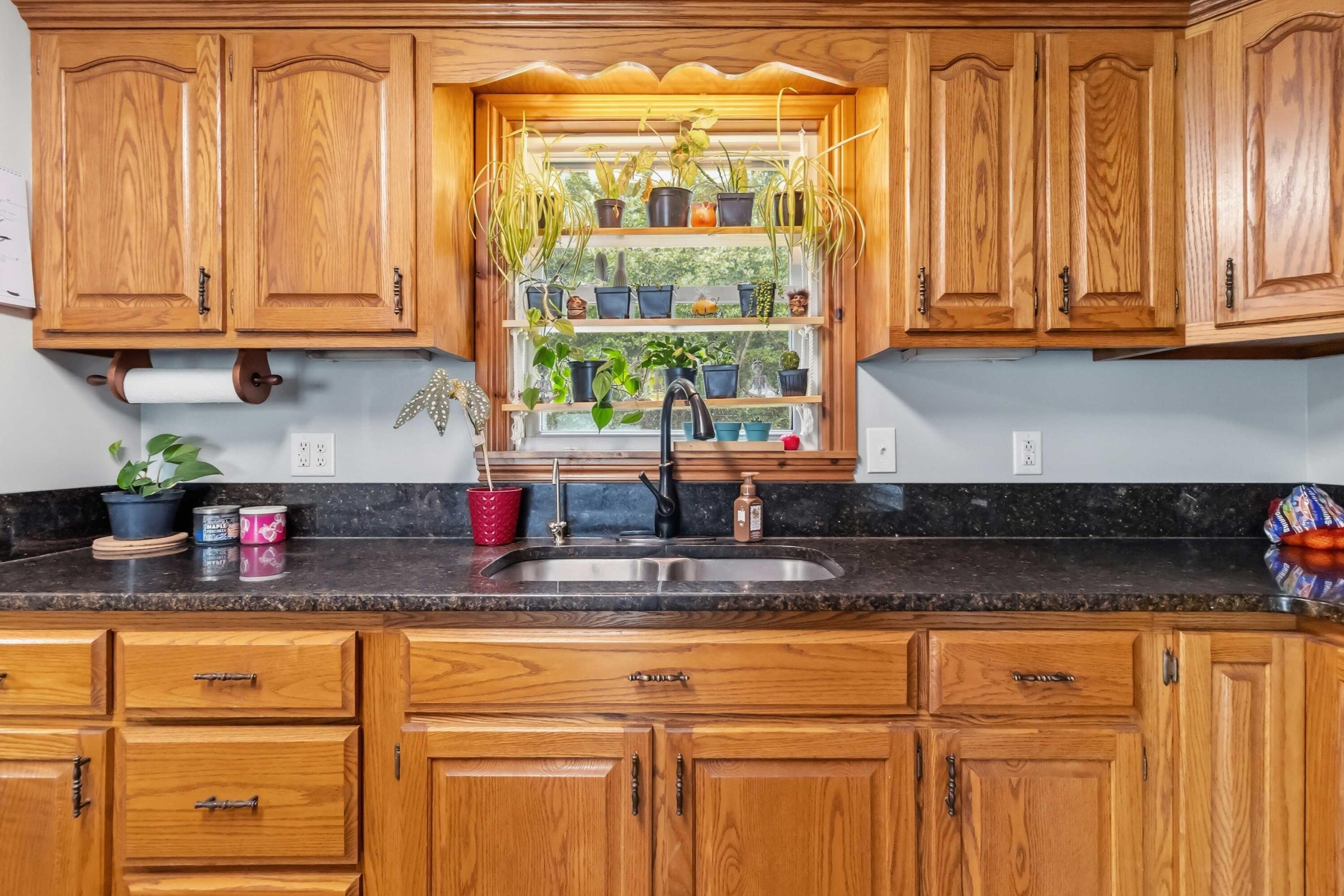 547 Trace Fork Road Property Photo 20