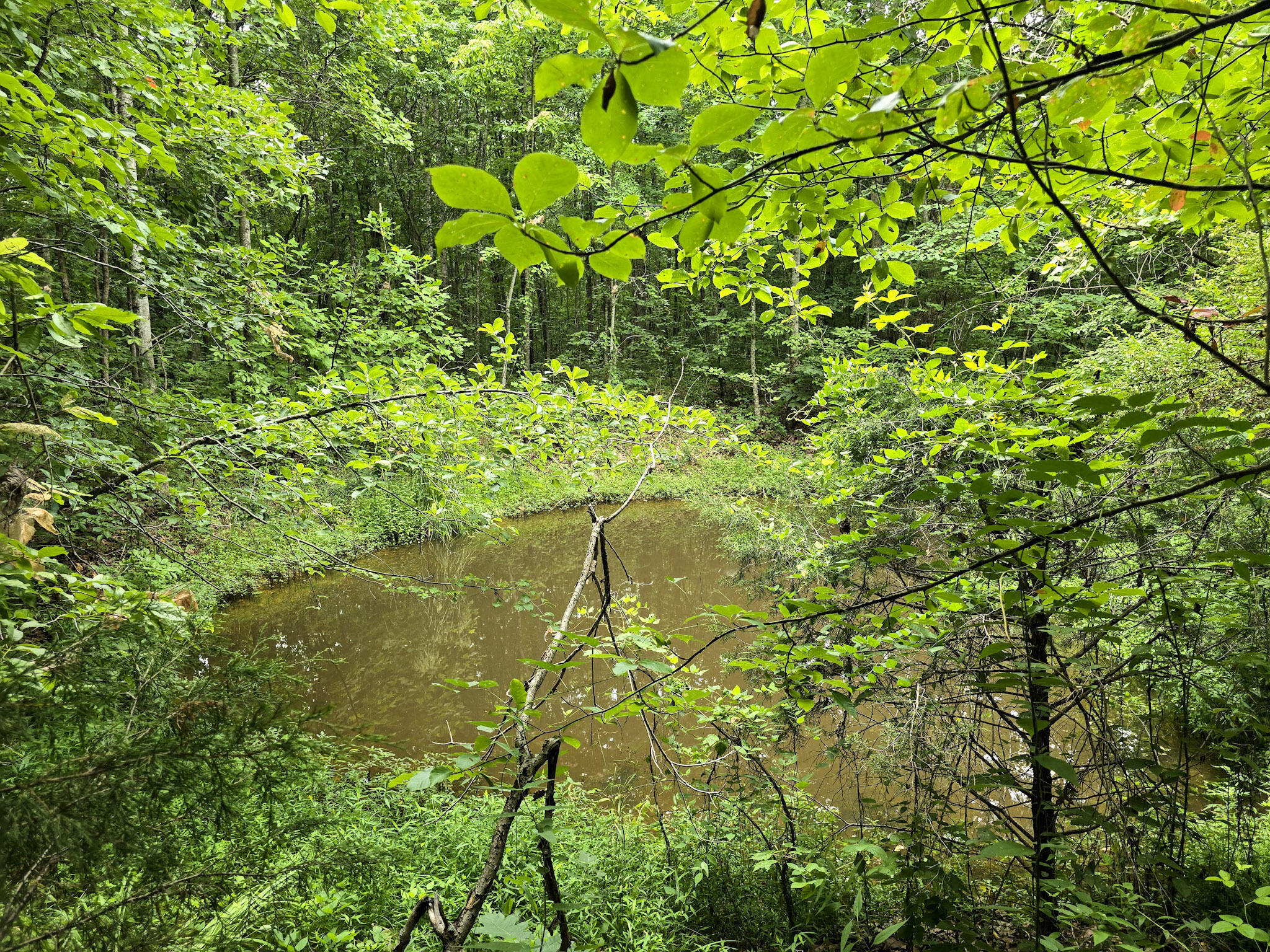 547 Trace Fork Road Property Photo 56