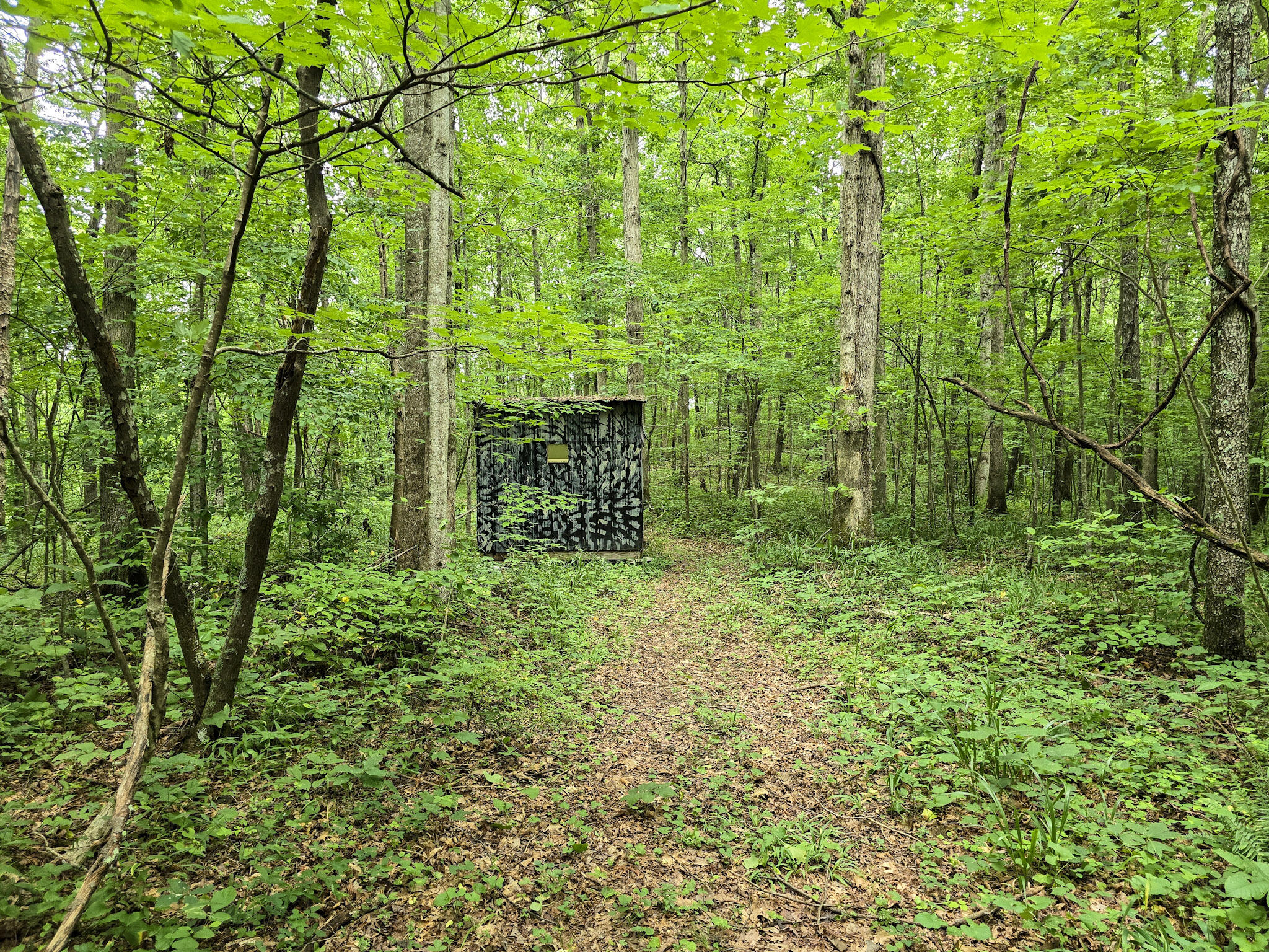 547 Trace Fork Road Property Photo 58