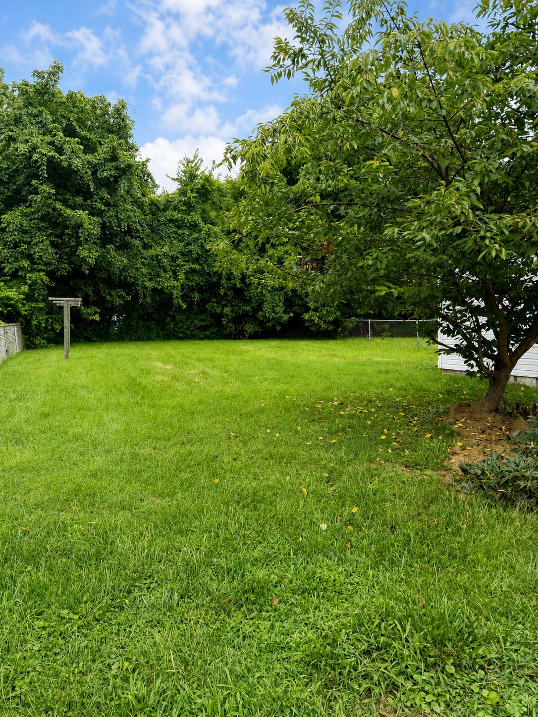 32 Jackson Street Property Photo 12