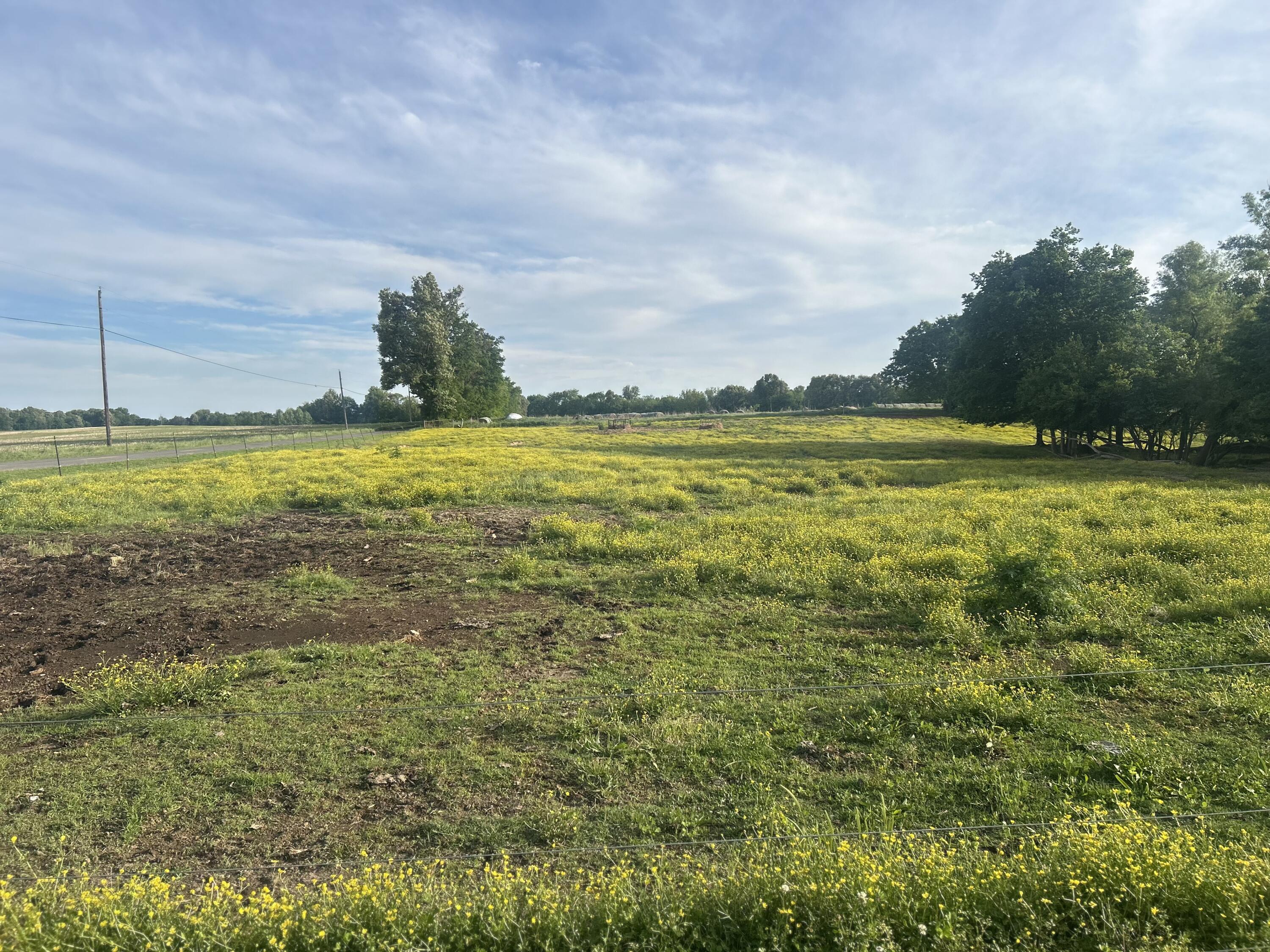 1753 State Route 943 Property Photo 13