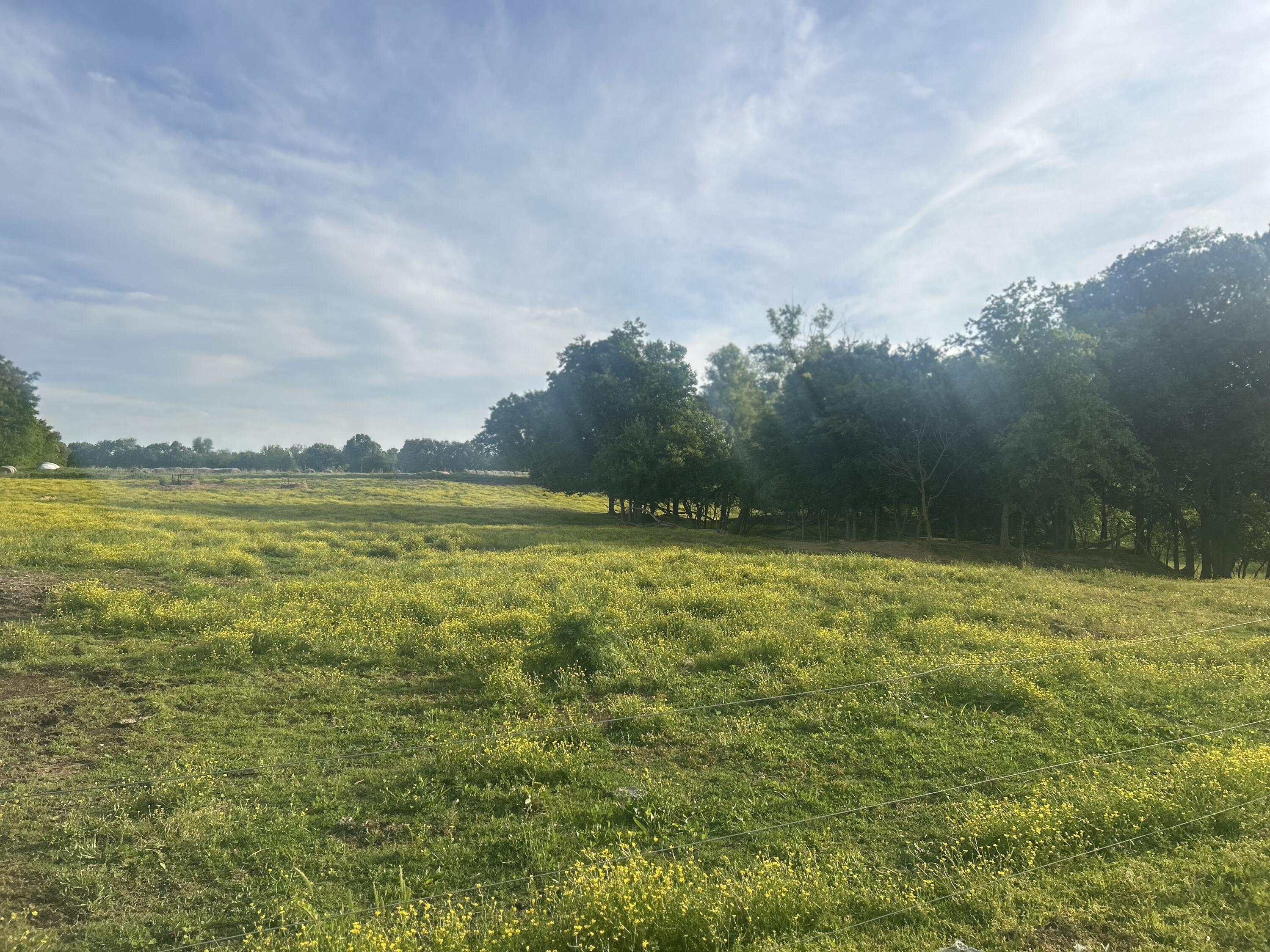 1753 State Route 943 Property Photo 14