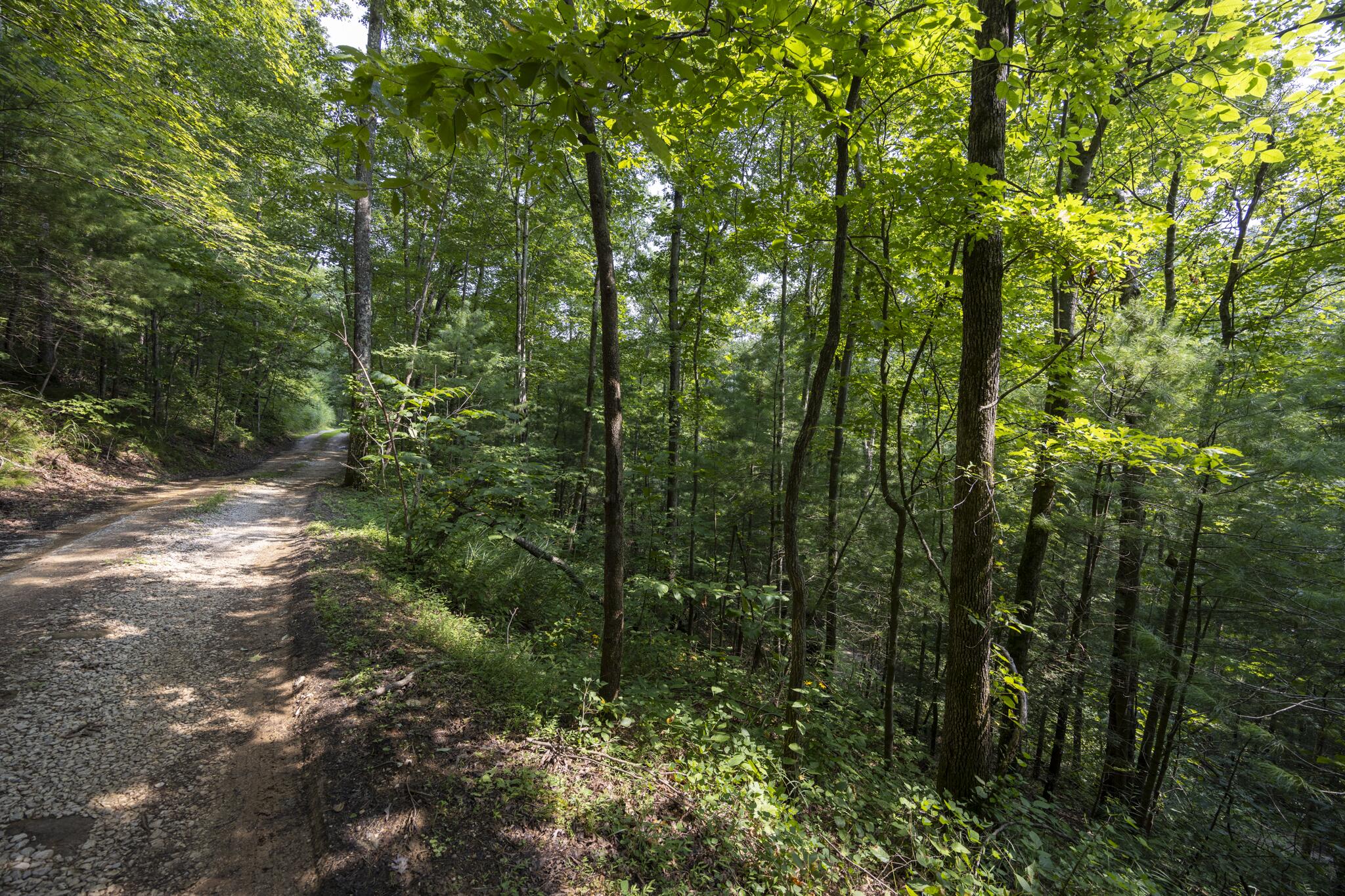 Lot 2 Cave Hollow Road Property Photo 1