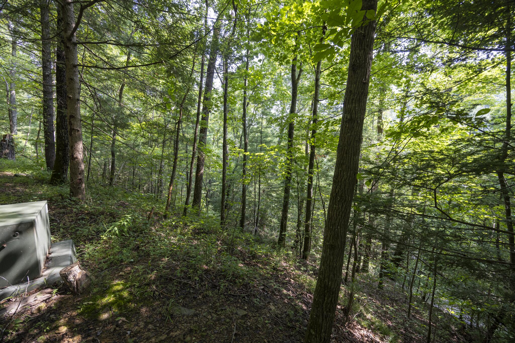 Lot 2 Cave Hollow Road Property Photo 5