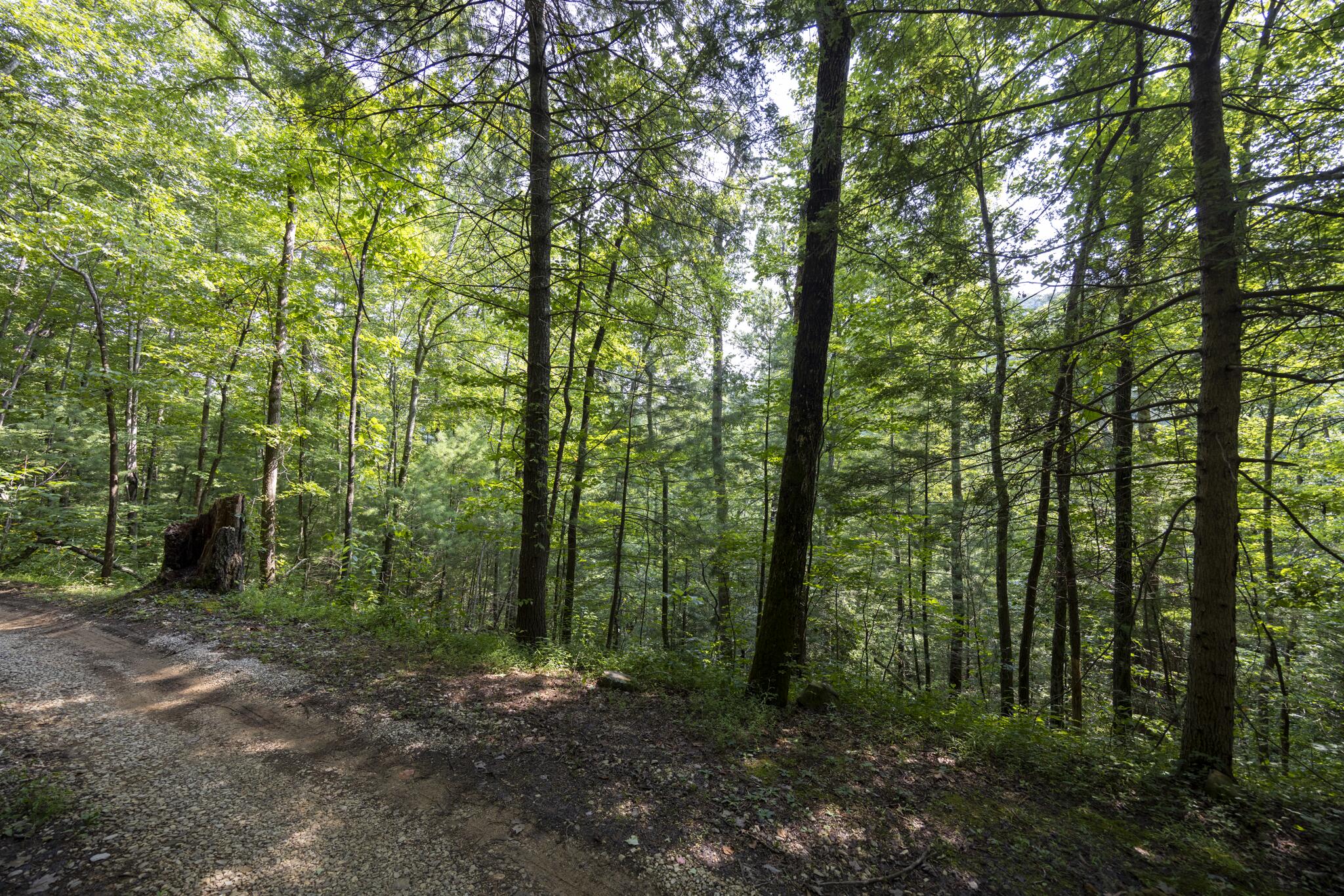 Lot 2 Cave Hollow Road Property Photo 6