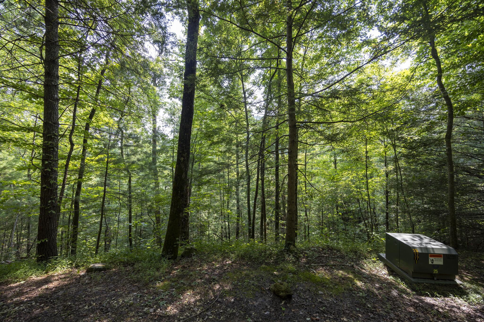 Lot 2 Cave Hollow Road Property Photo 7