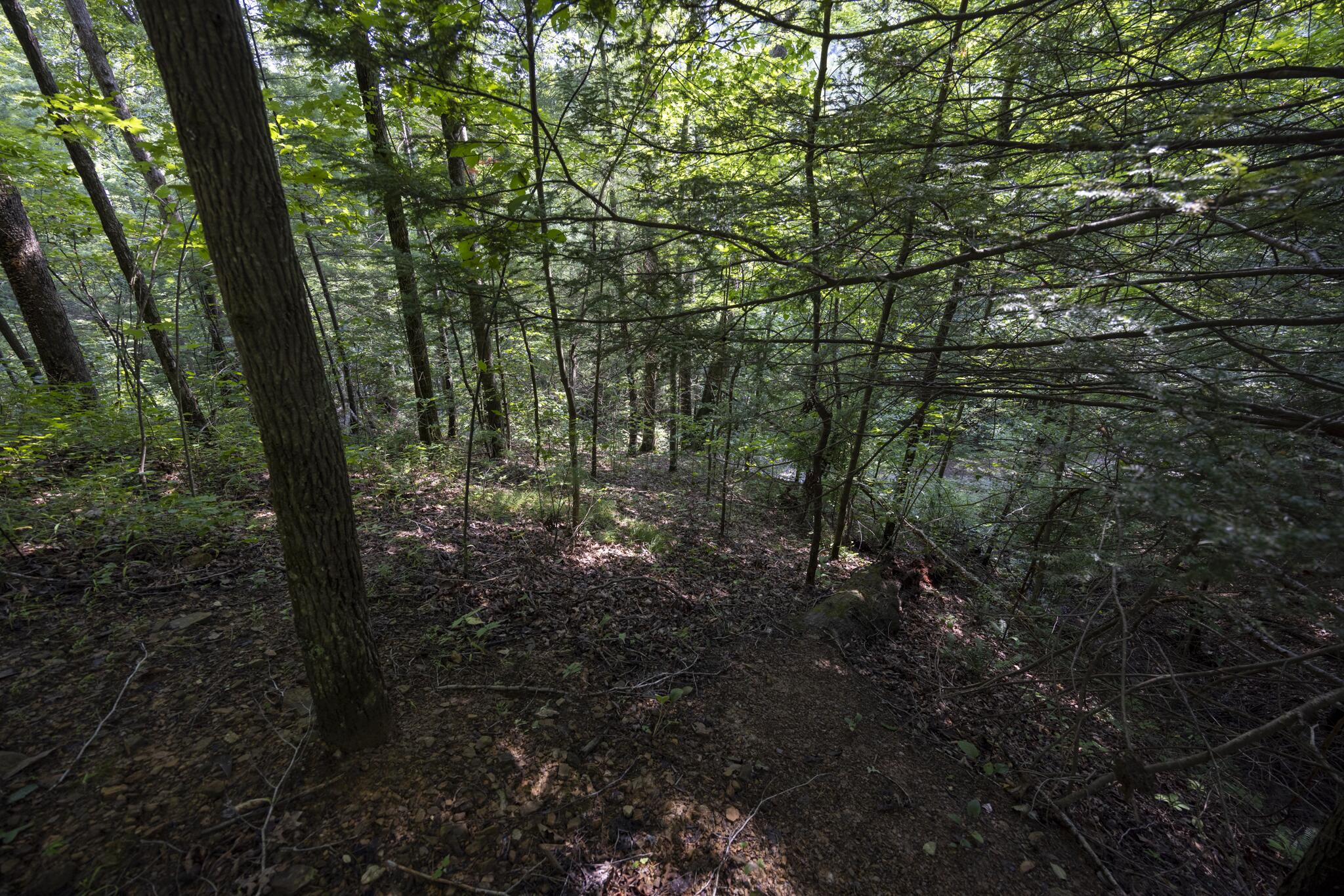 Lot 2 Cave Hollow Road Property Photo 8