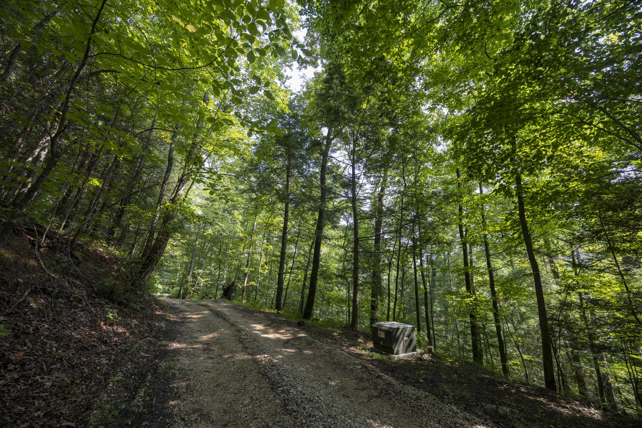 Lot 2 Cave Hollow Road Property Photo 9