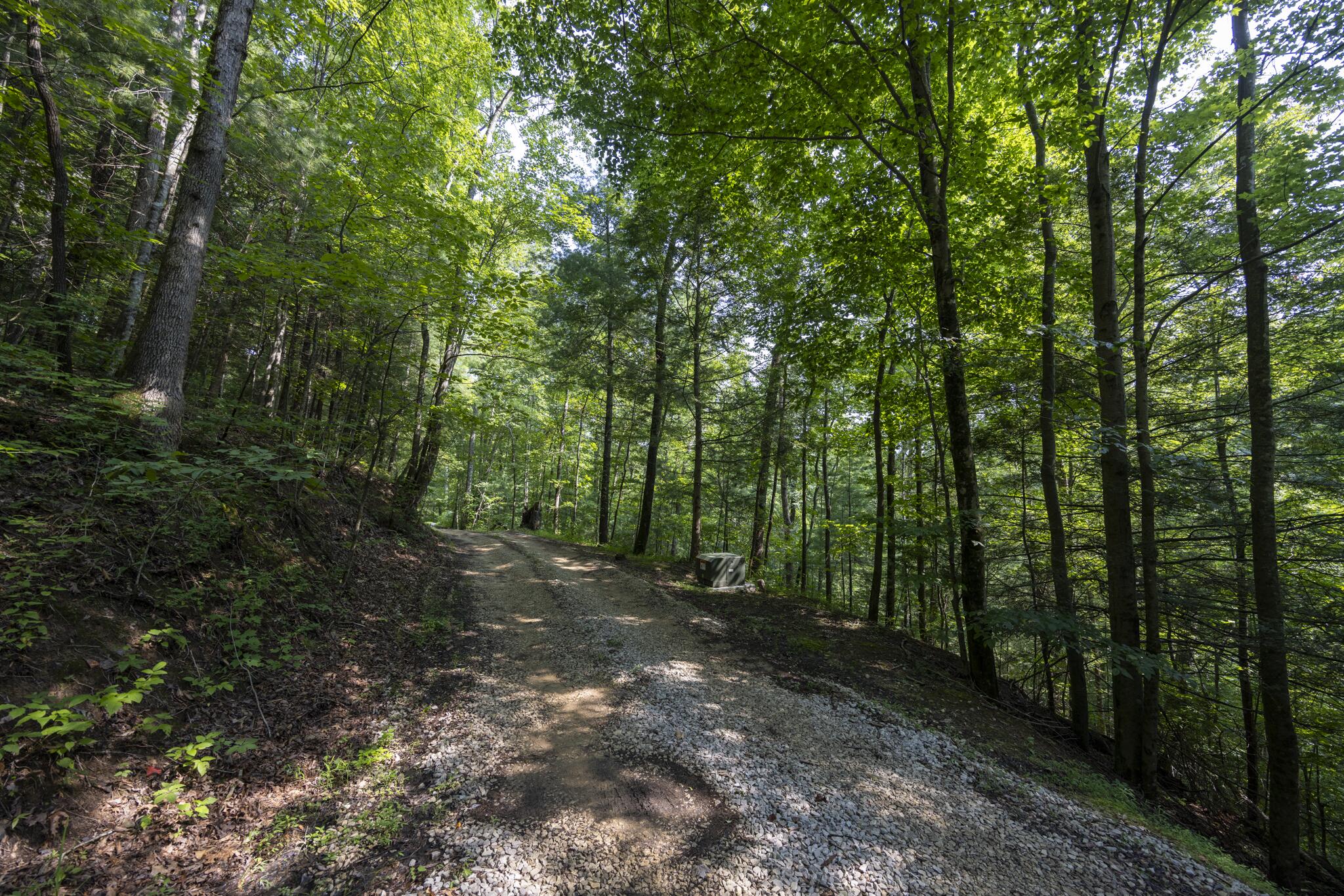 Lot 2 Cave Hollow Road Property Photo 10