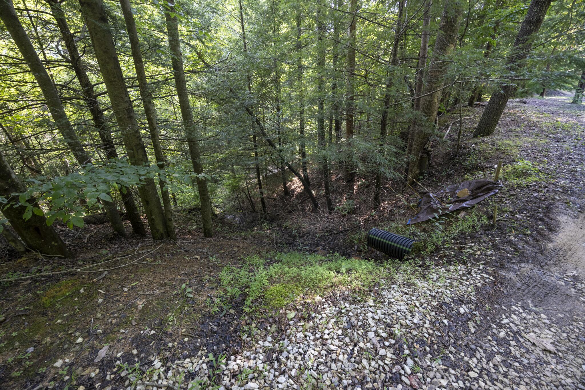 Lot 2 Cave Hollow Road Property Photo 12
