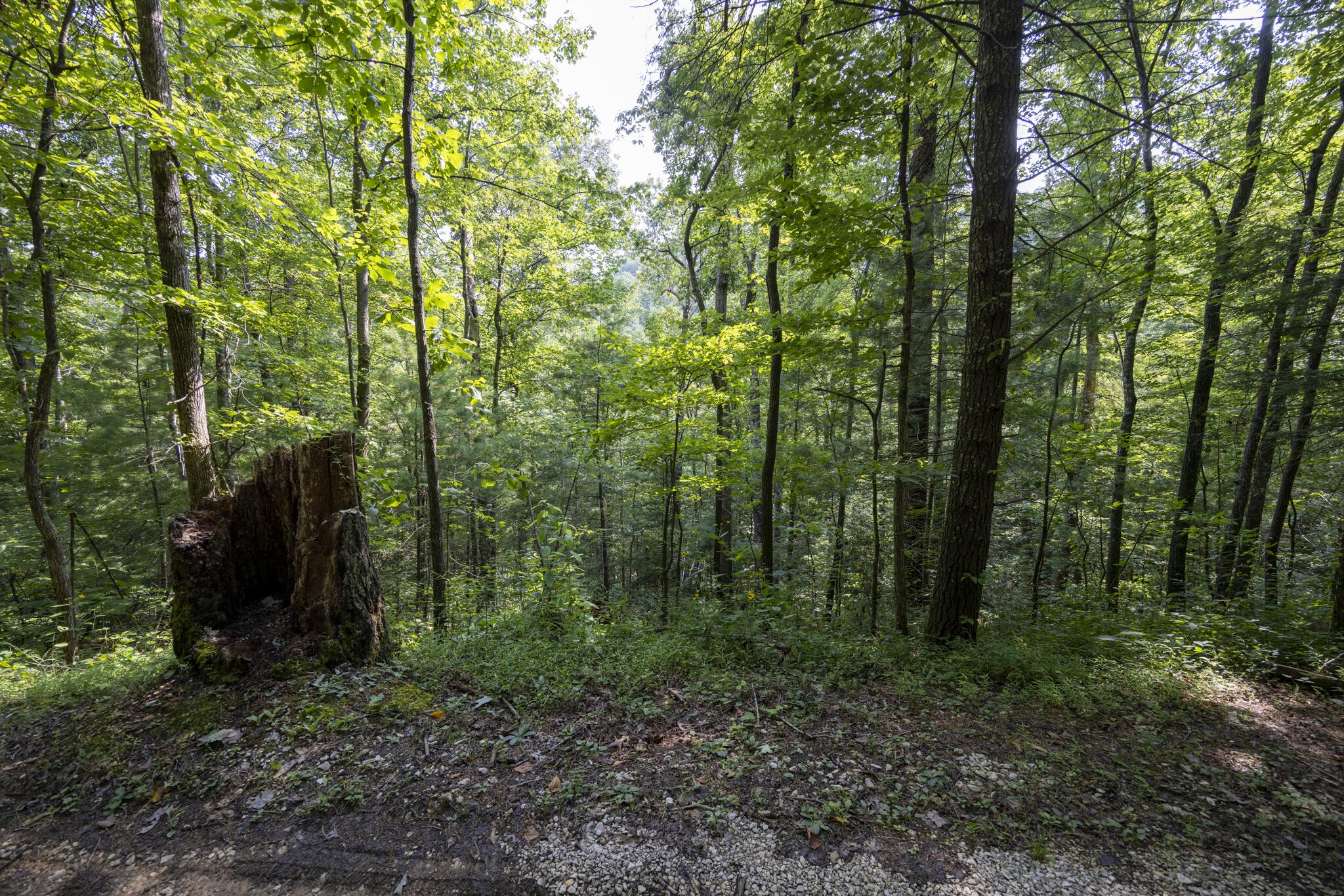 Lot 2 Cave Hollow Road Property Photo 15