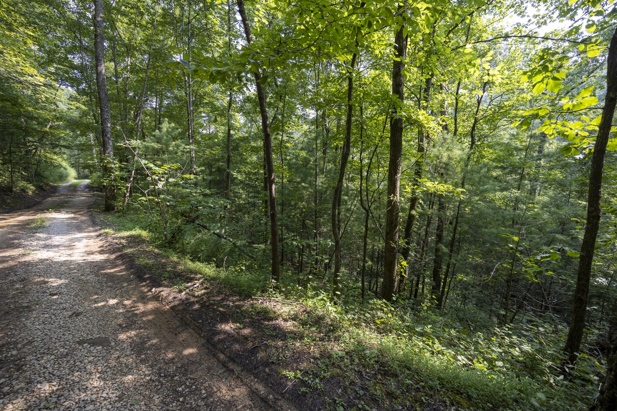 Lot 2 Cave Hollow Road Property Photo 16