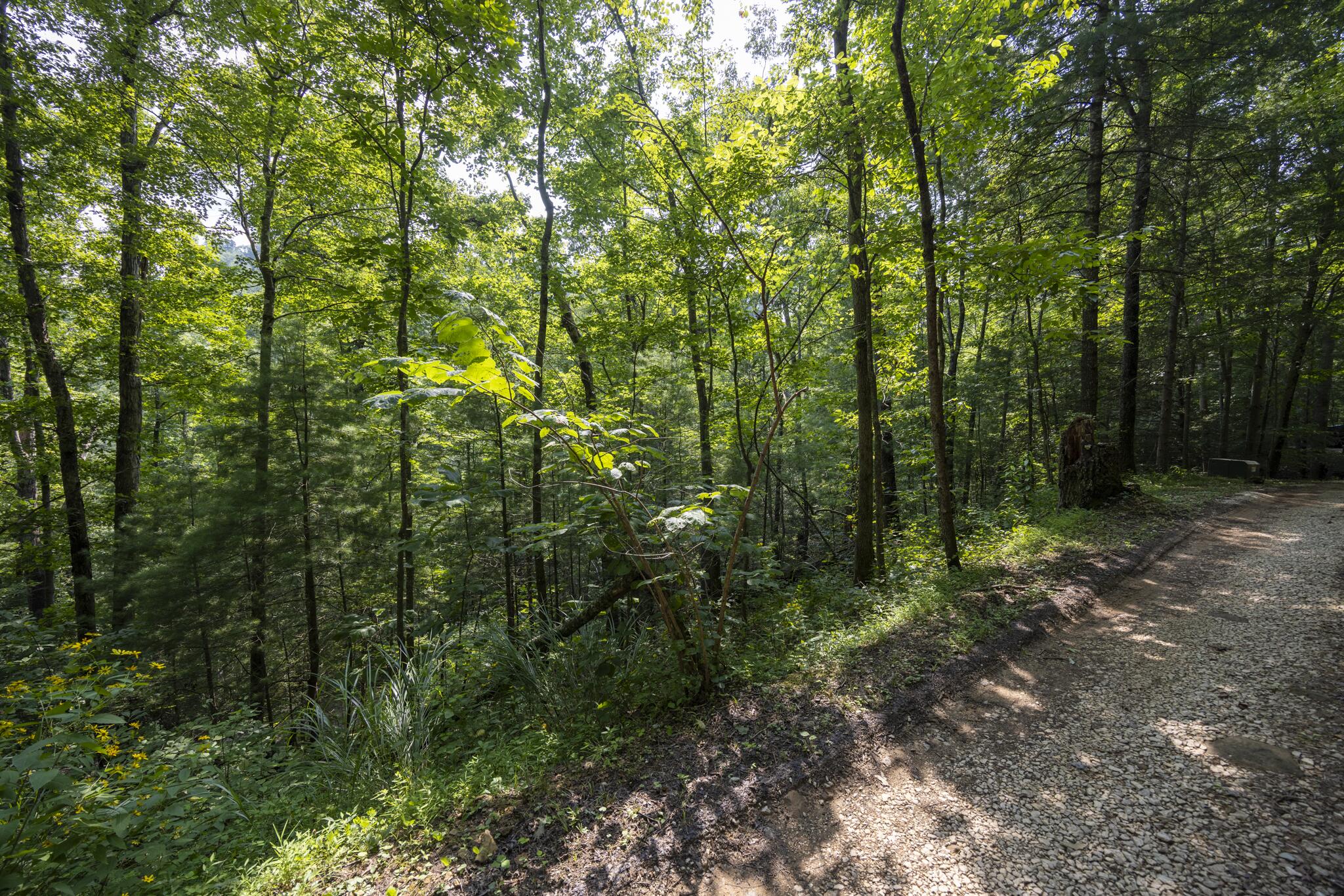 Lot 2 Cave Hollow Road Property Photo 18