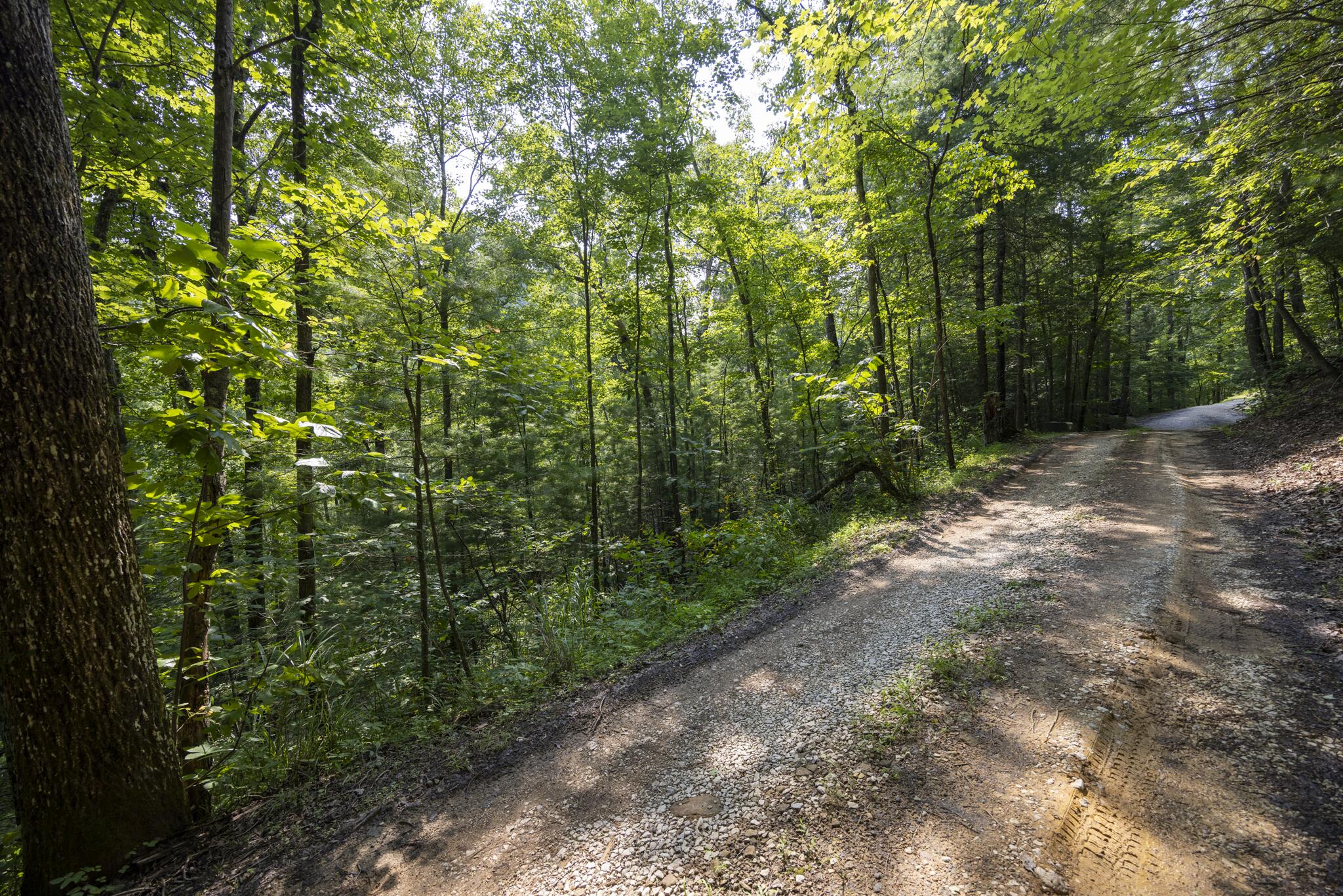 Lot 2 Cave Hollow Road Property Photo 22