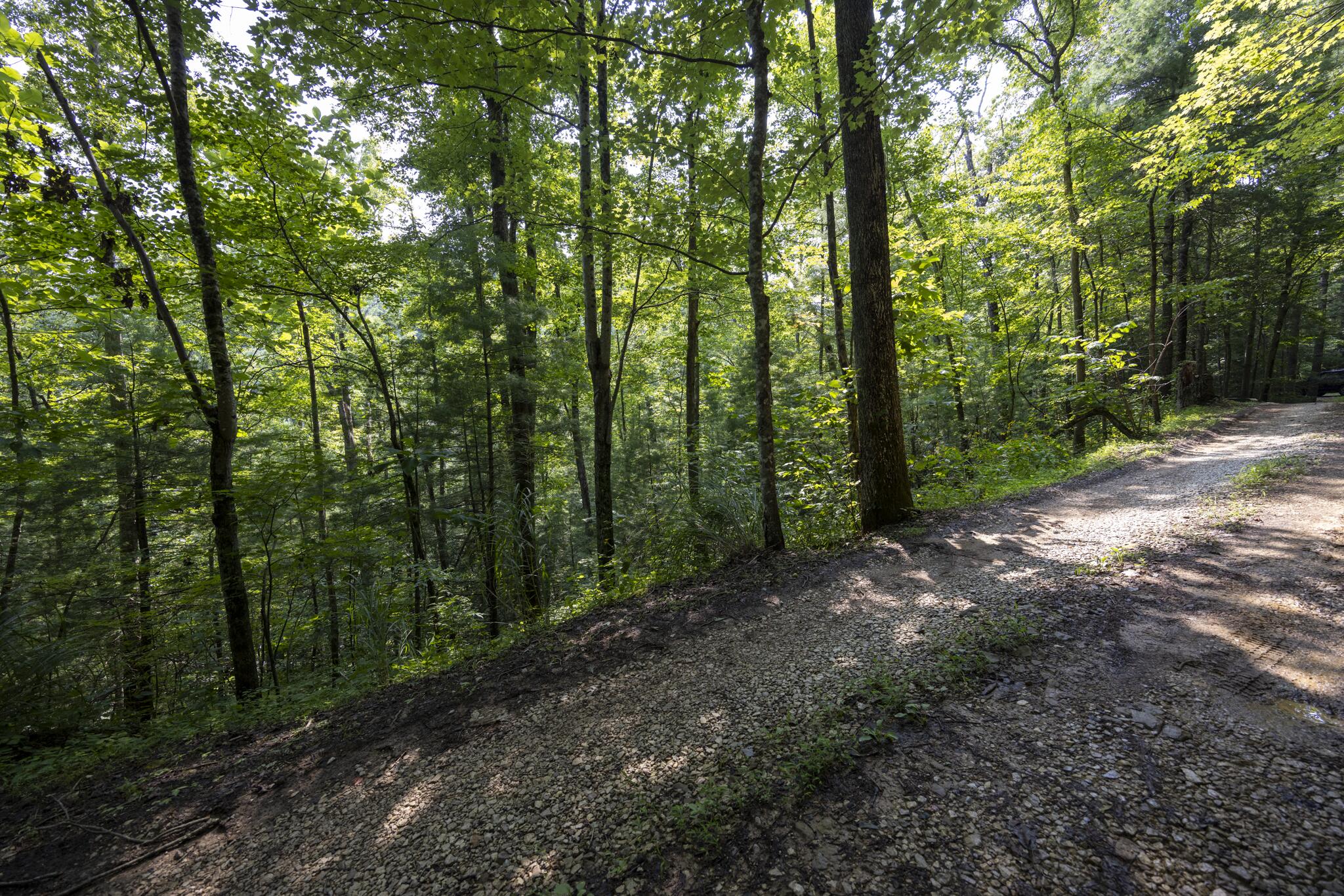 Lot 2 Cave Hollow Road Property Photo 24