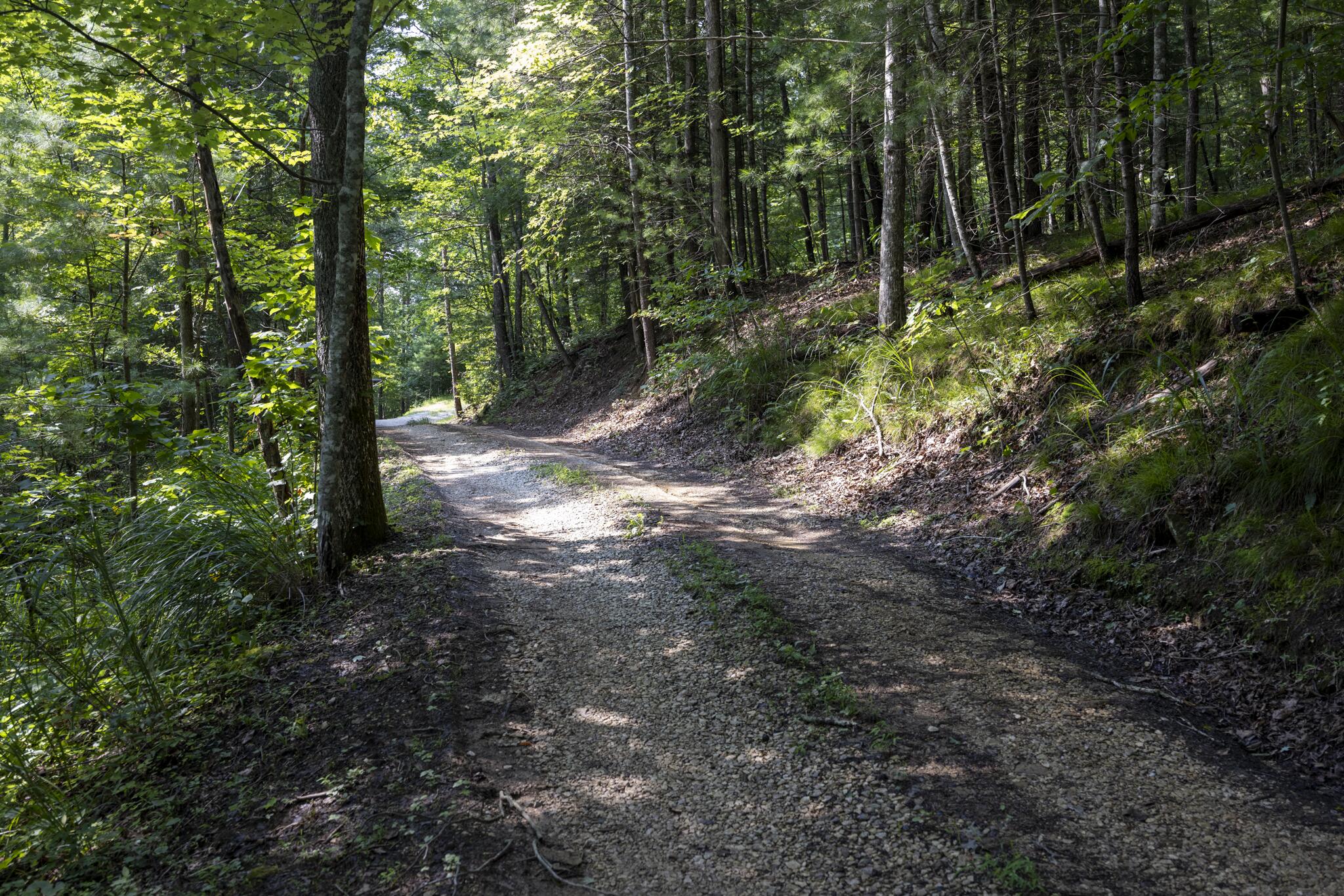Lot 2 Cave Hollow Road Property Photo 25