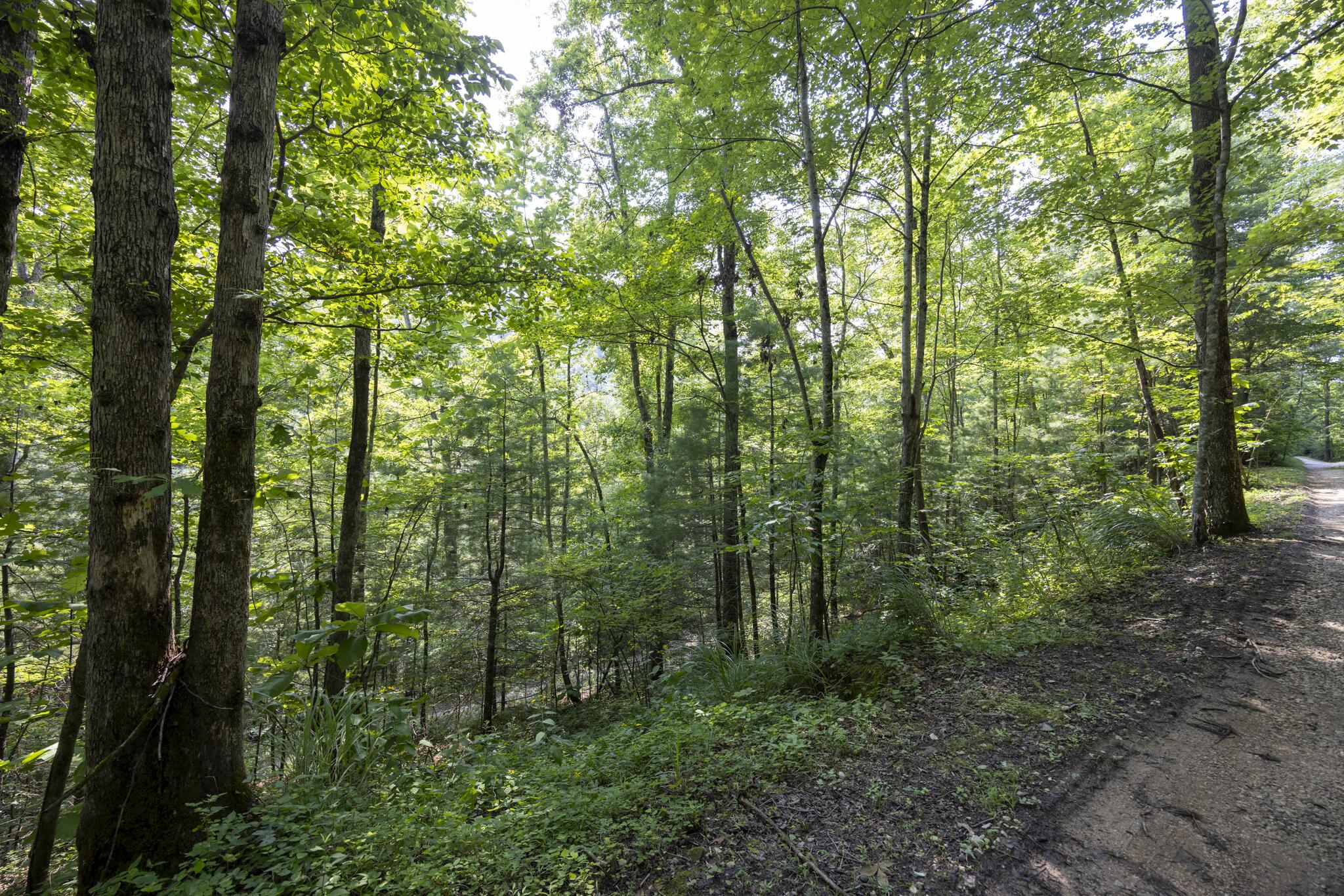 Lot 2 Cave Hollow Road Property Photo 27