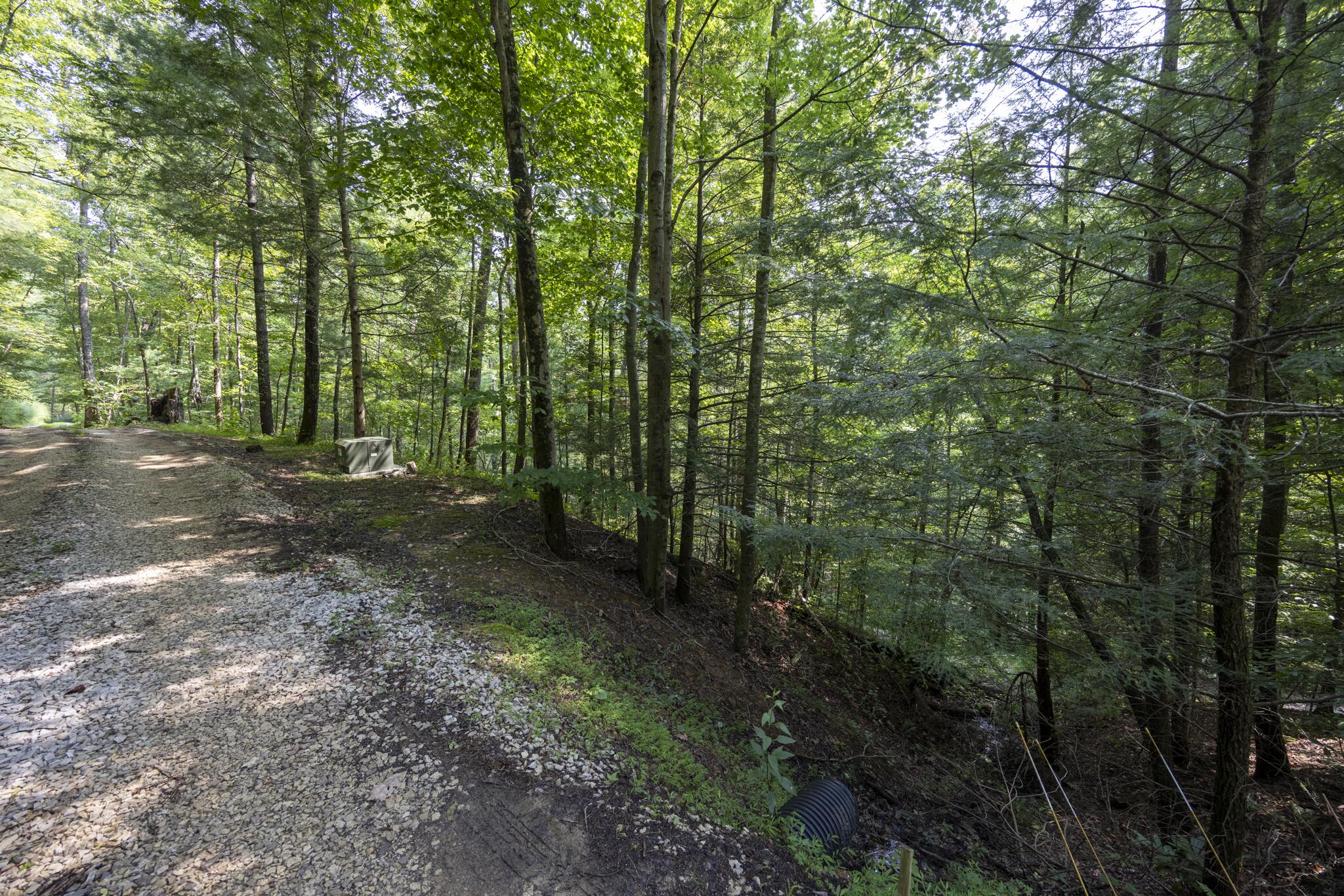 Lot 2 Cave Hollow Road Property Photo 28
