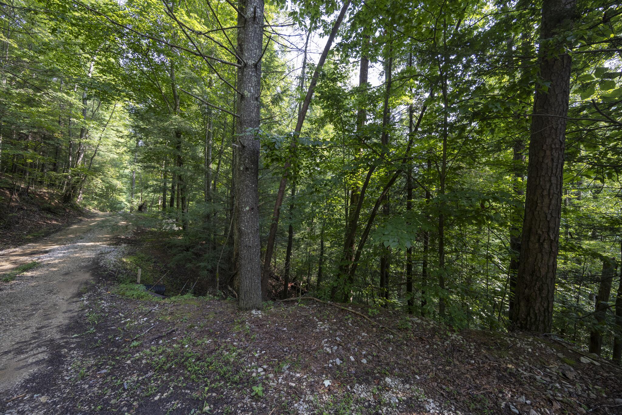Lot 2 Cave Hollow Road Property Photo 29