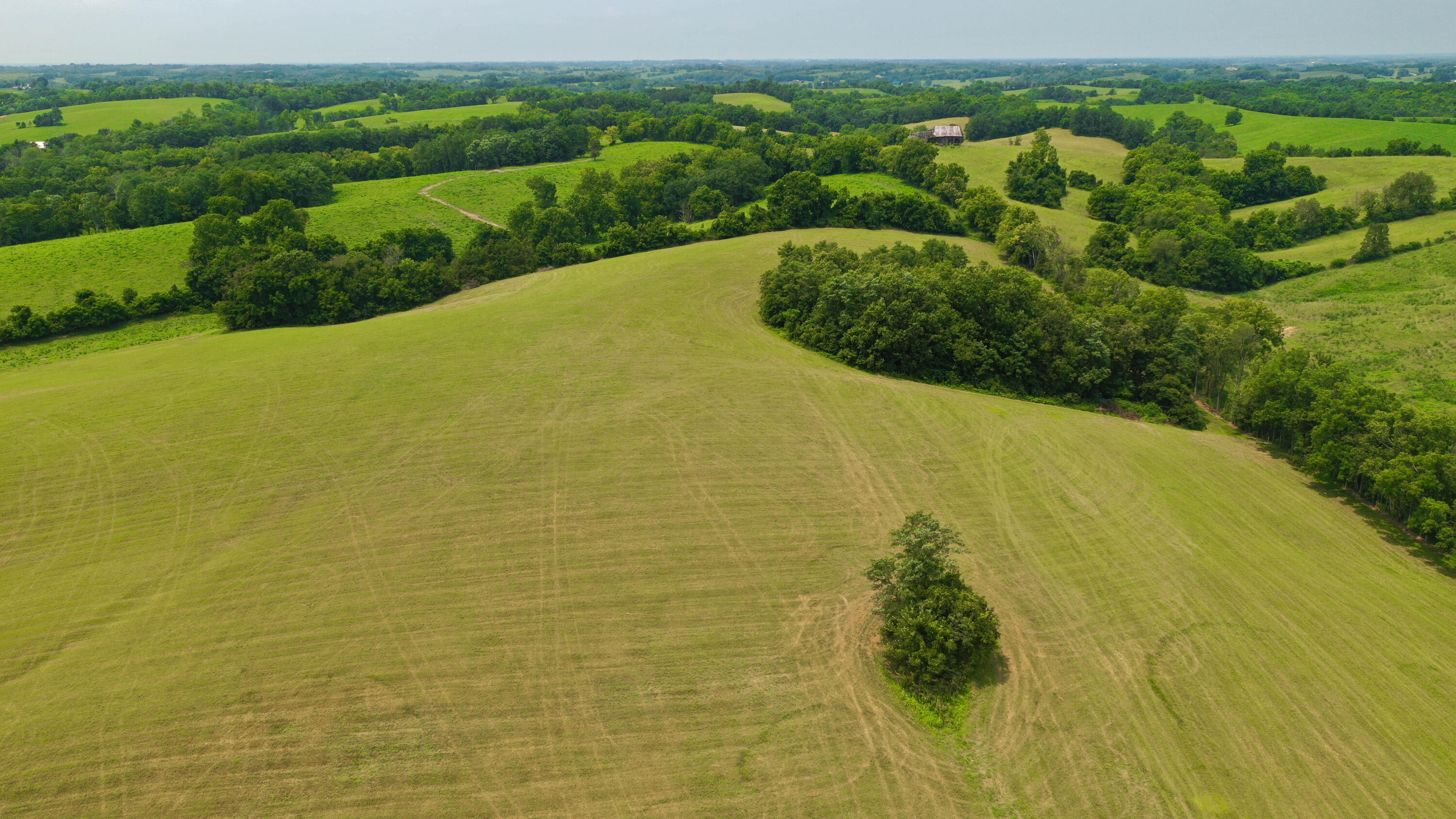 1 Plum Lick Road Property Photo 5