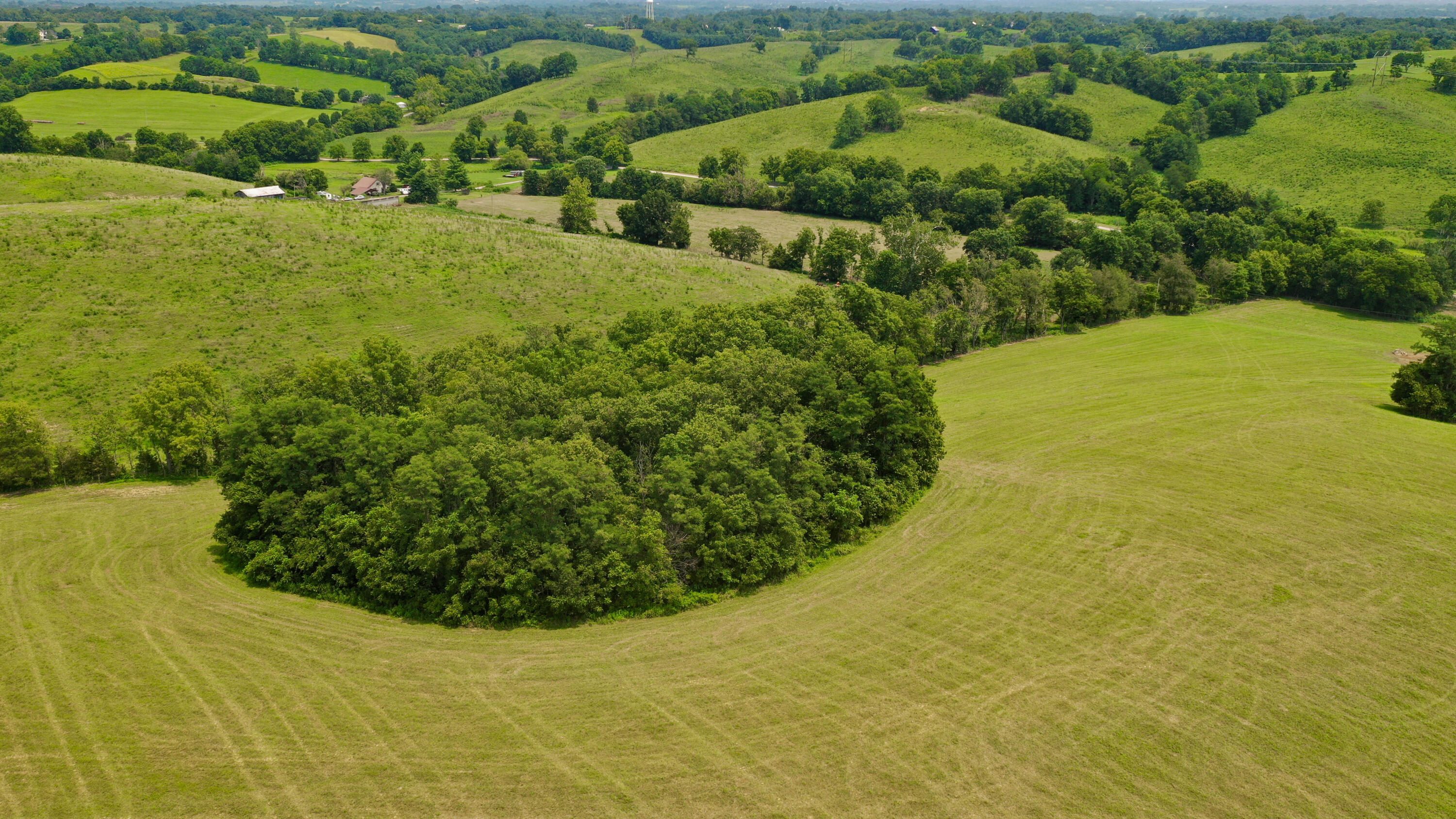 1 Plum Lick Road Property Photo 6