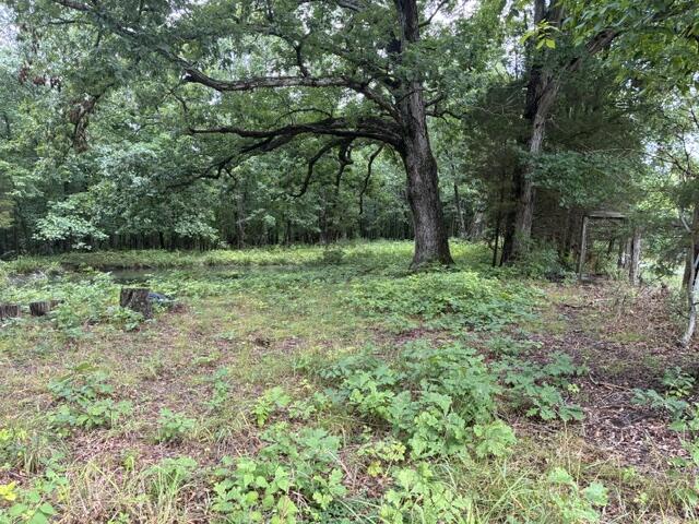 0 N Lang /eureka Road Property Photo 8