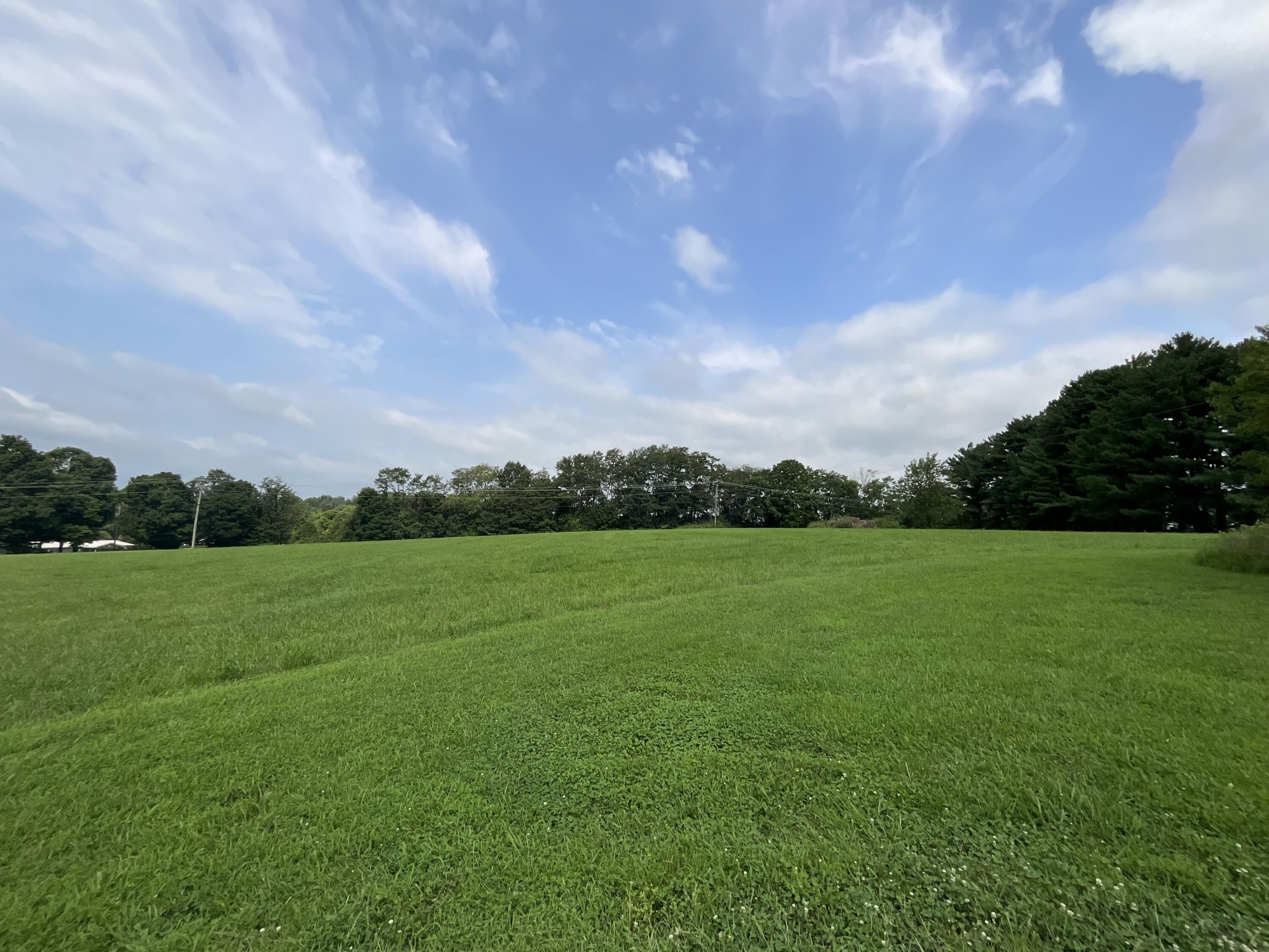 181 William Whitley Road Property Photo 112