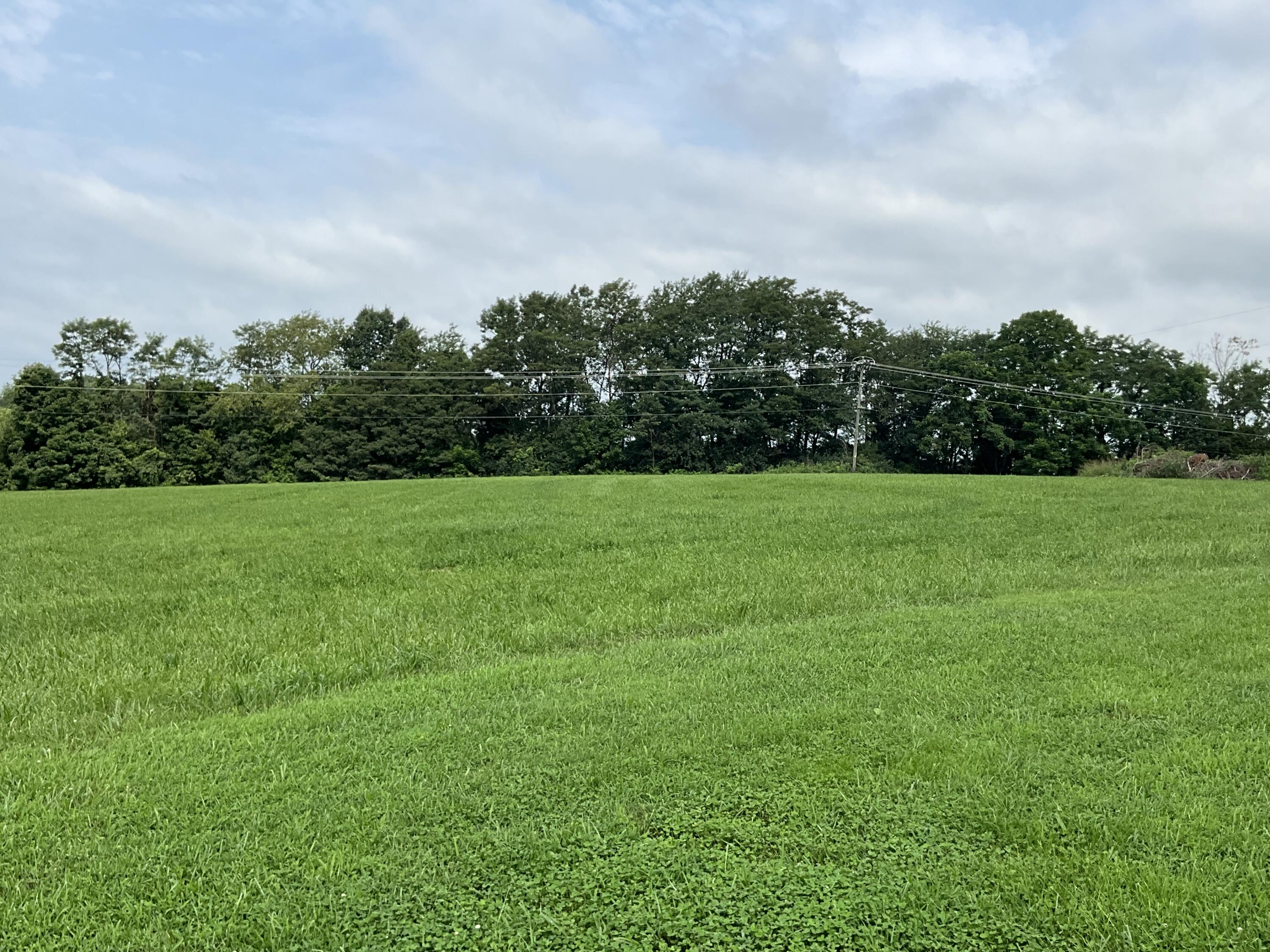 181 William Whitley Road Property Photo 115
