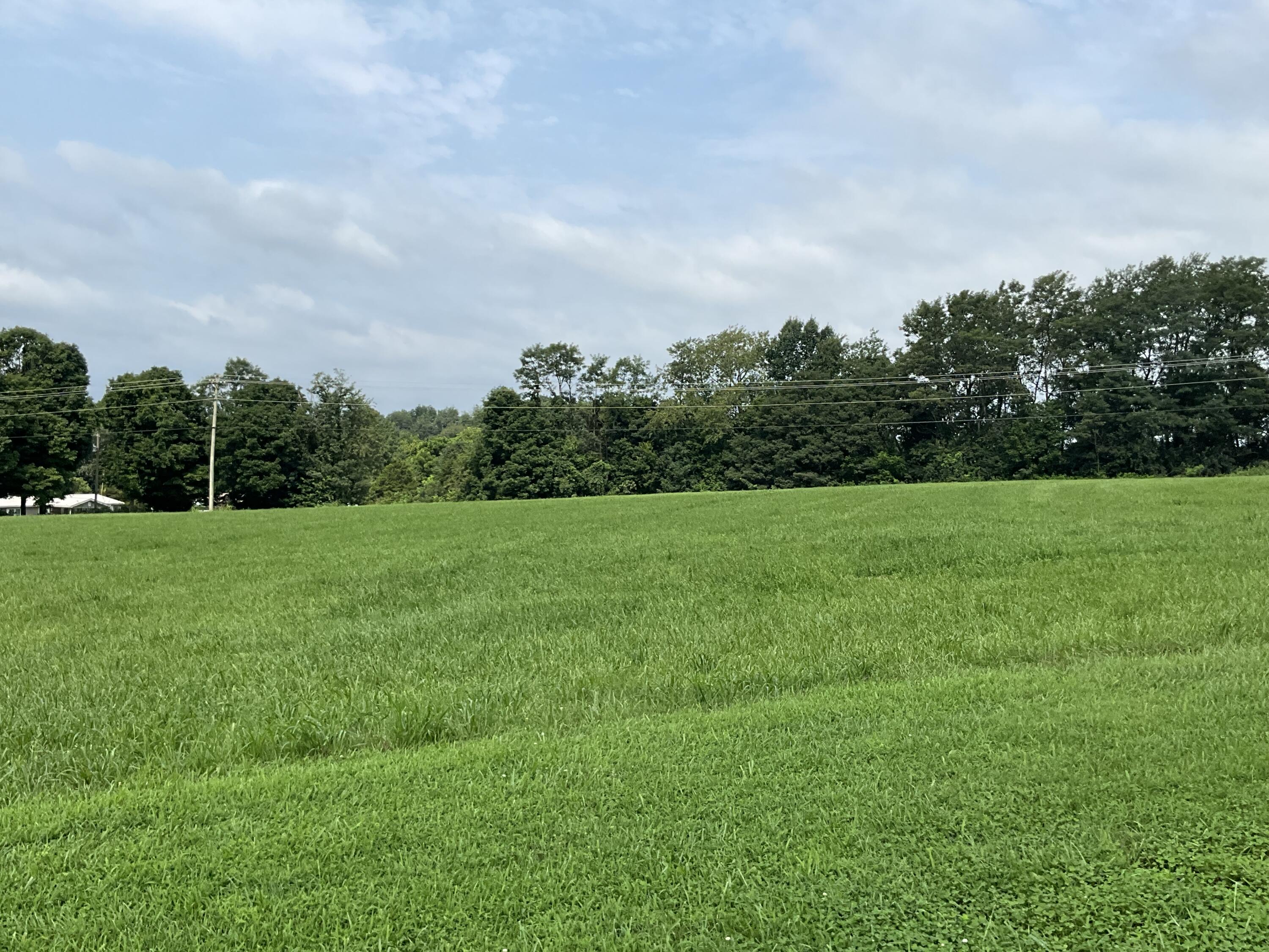 181 William Whitley Road Property Photo 116