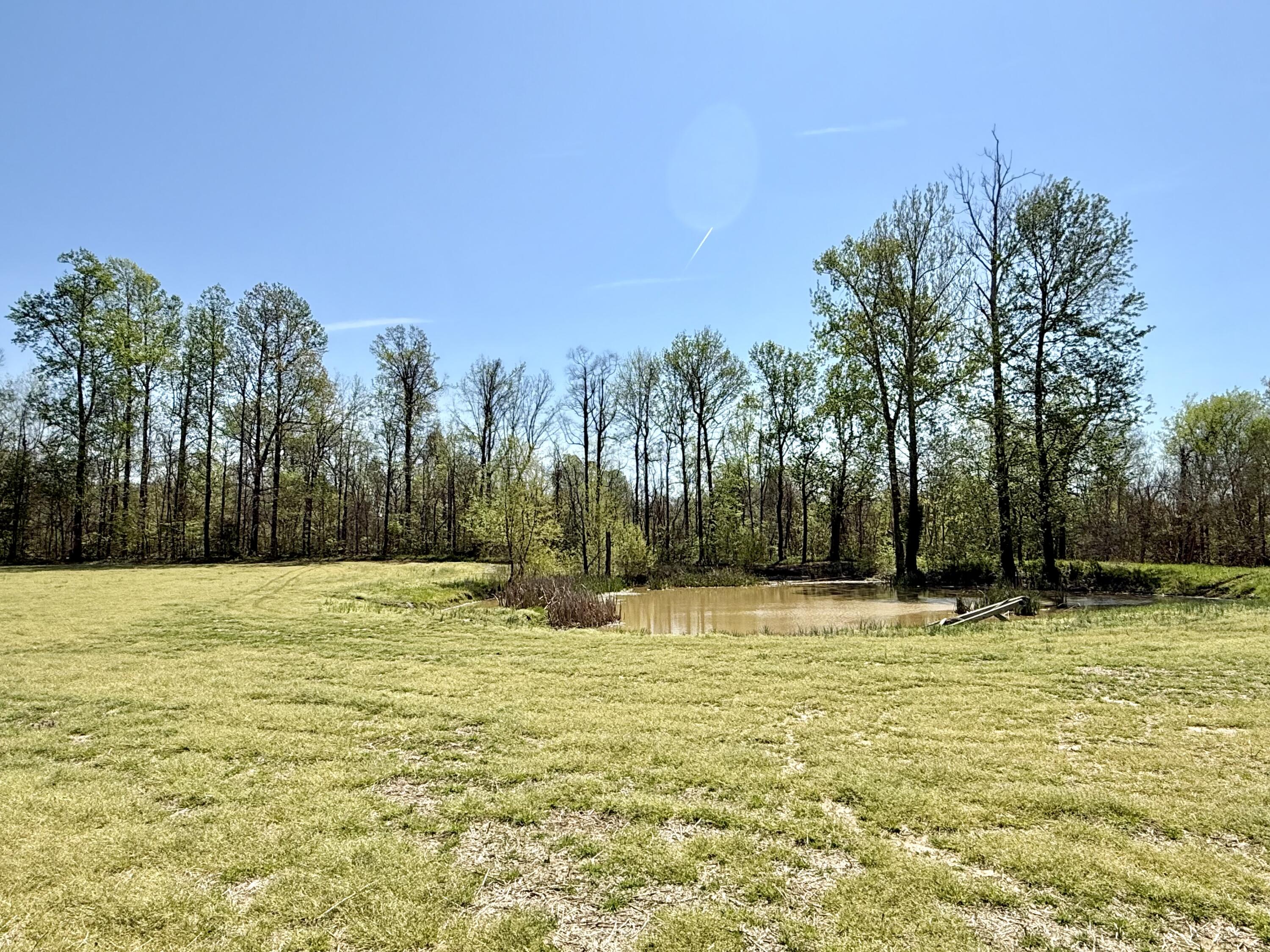 378 County Road 1219 Property Photo 37