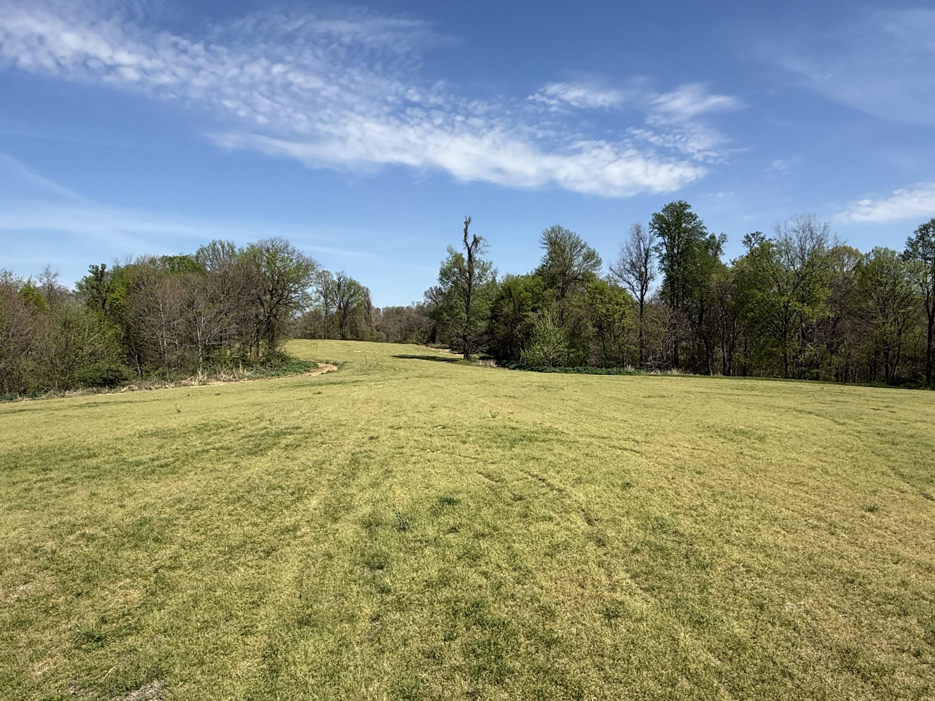 378 County Road 1219 Property Photo 40
