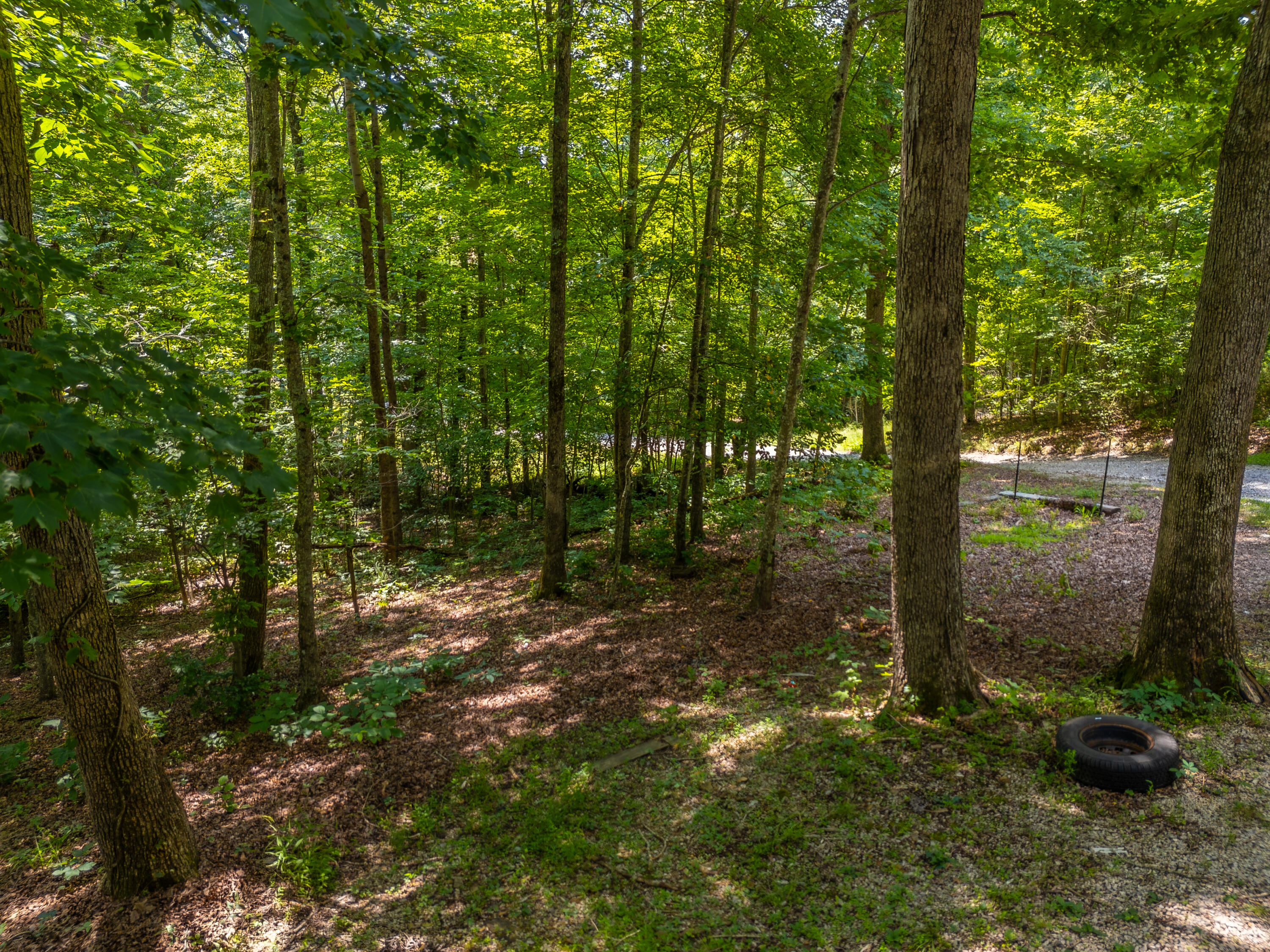500 Hazel Tree Lane Property Photo 6