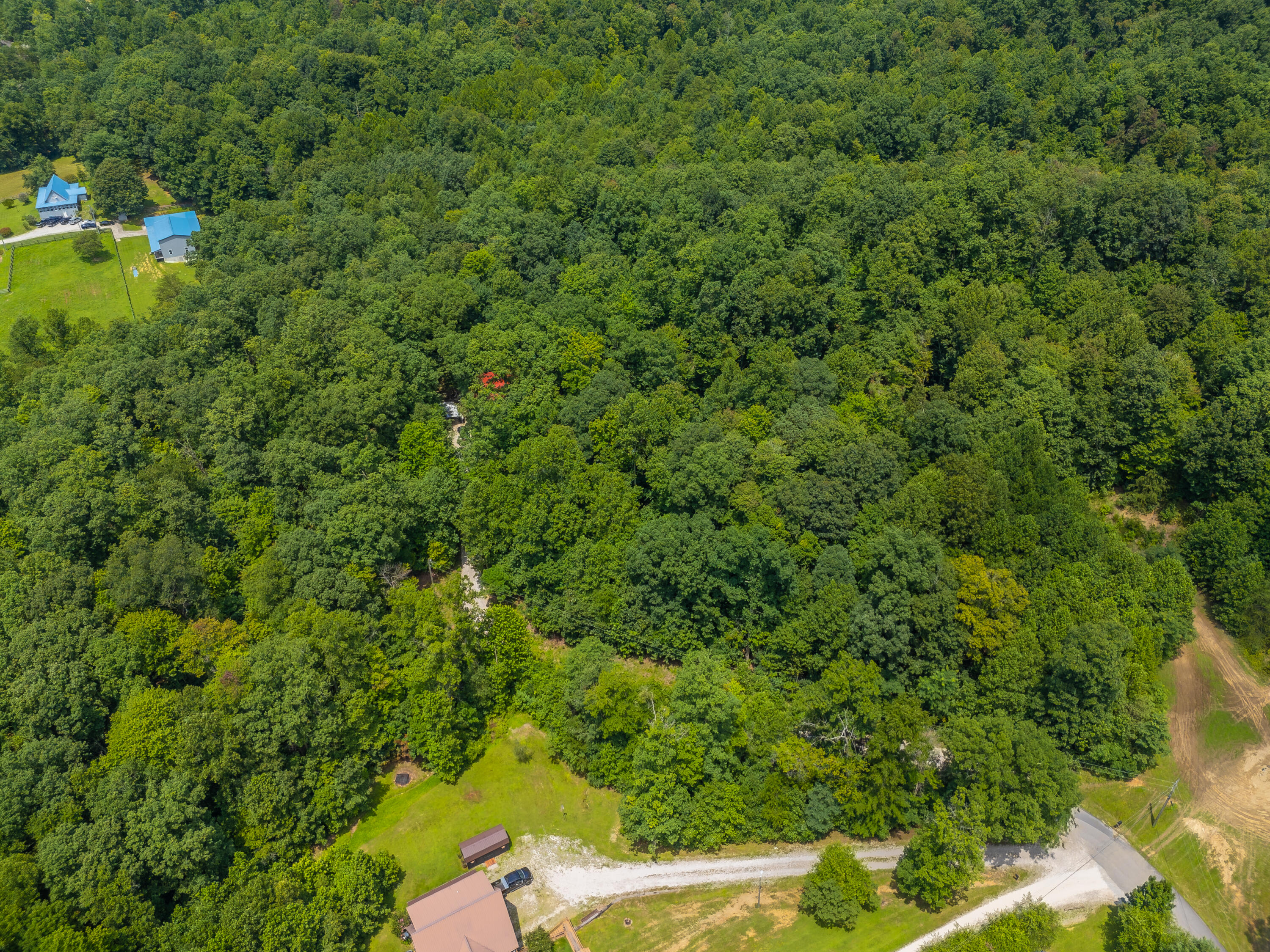 500 Hazel Tree Lane Property Photo 43