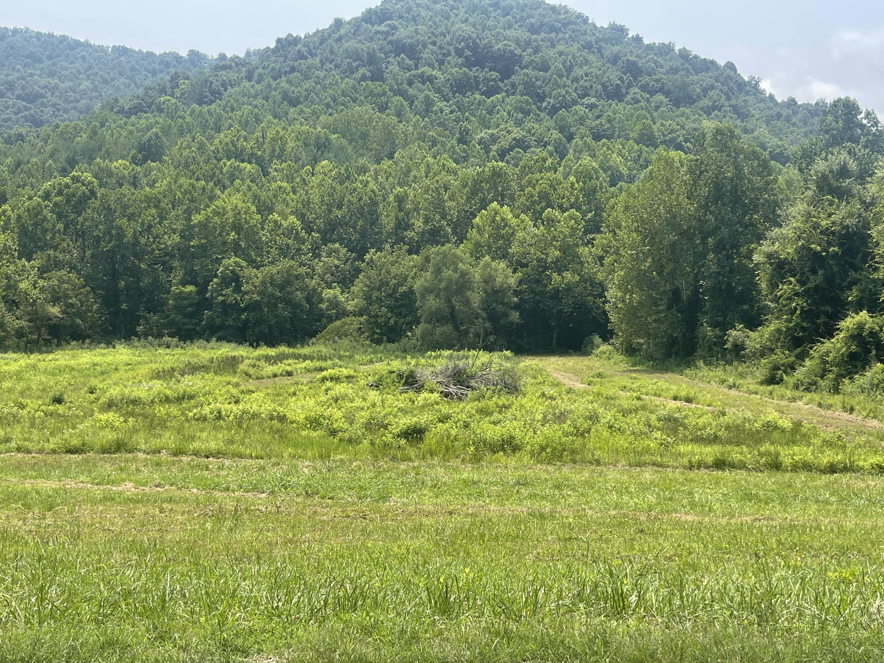 0 Moore Creek Road Property Photo 1