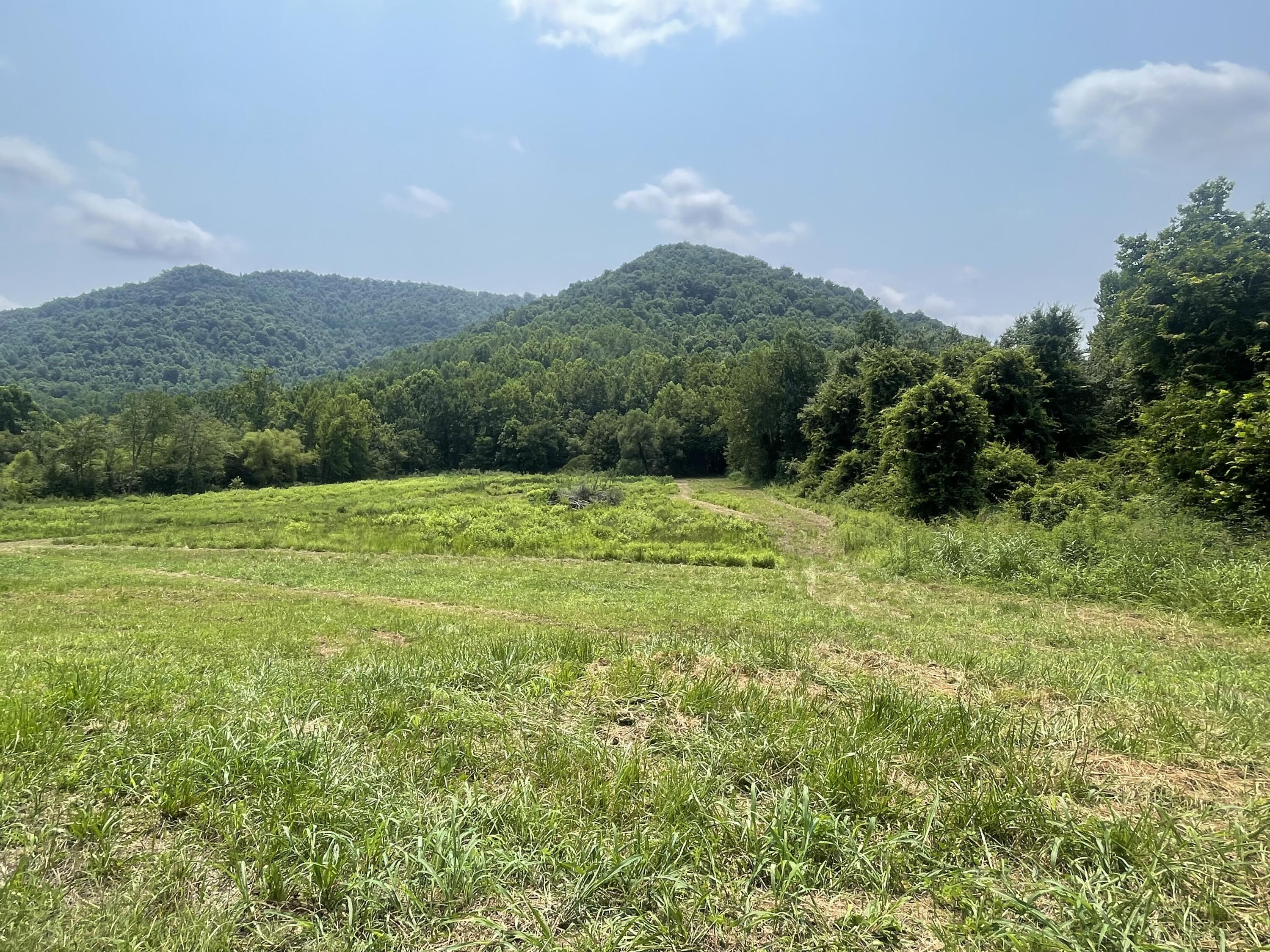 0 Moore Creek Road Property Photo 2