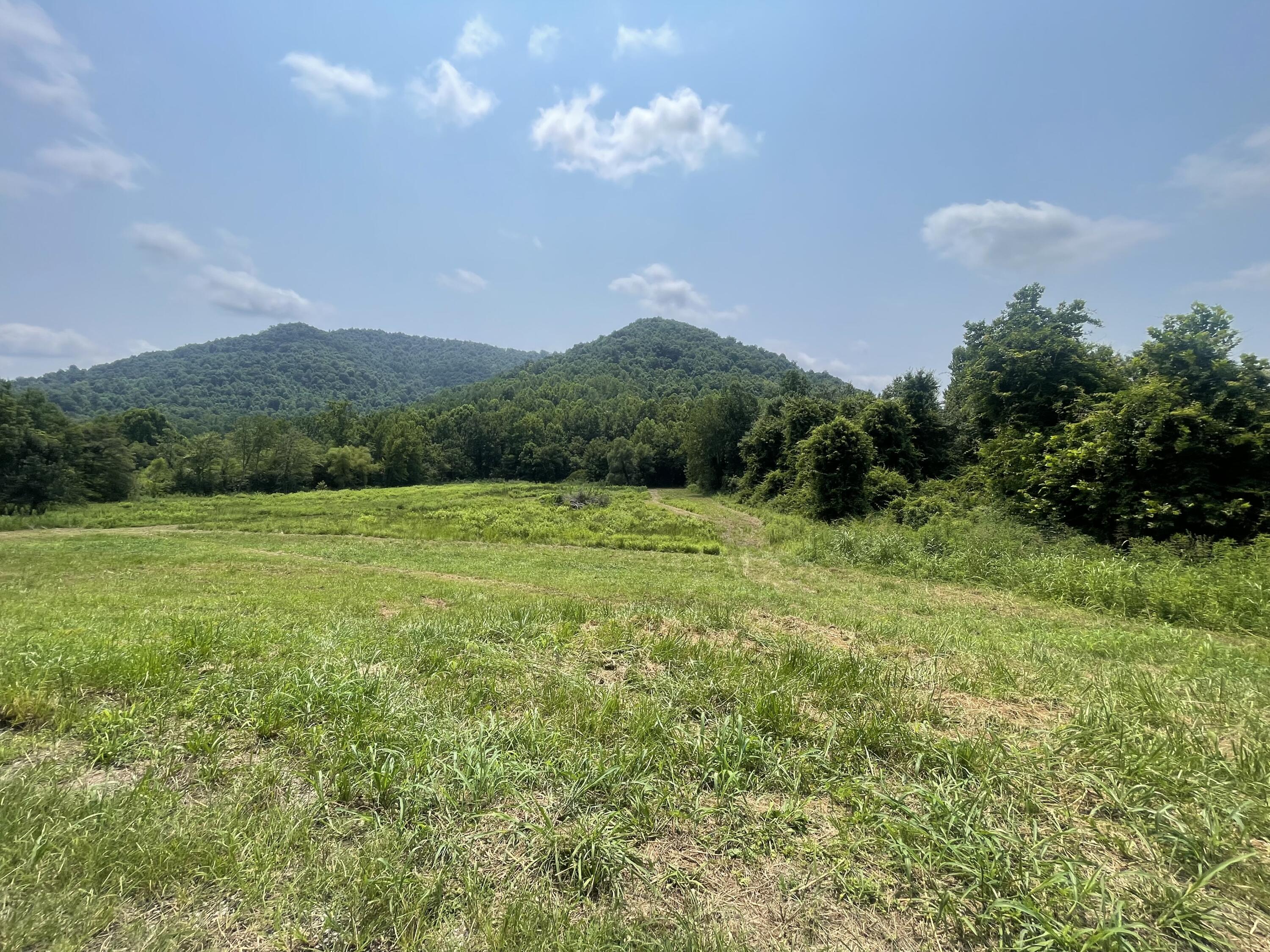 0 Moore Creek Road Property Photo 10