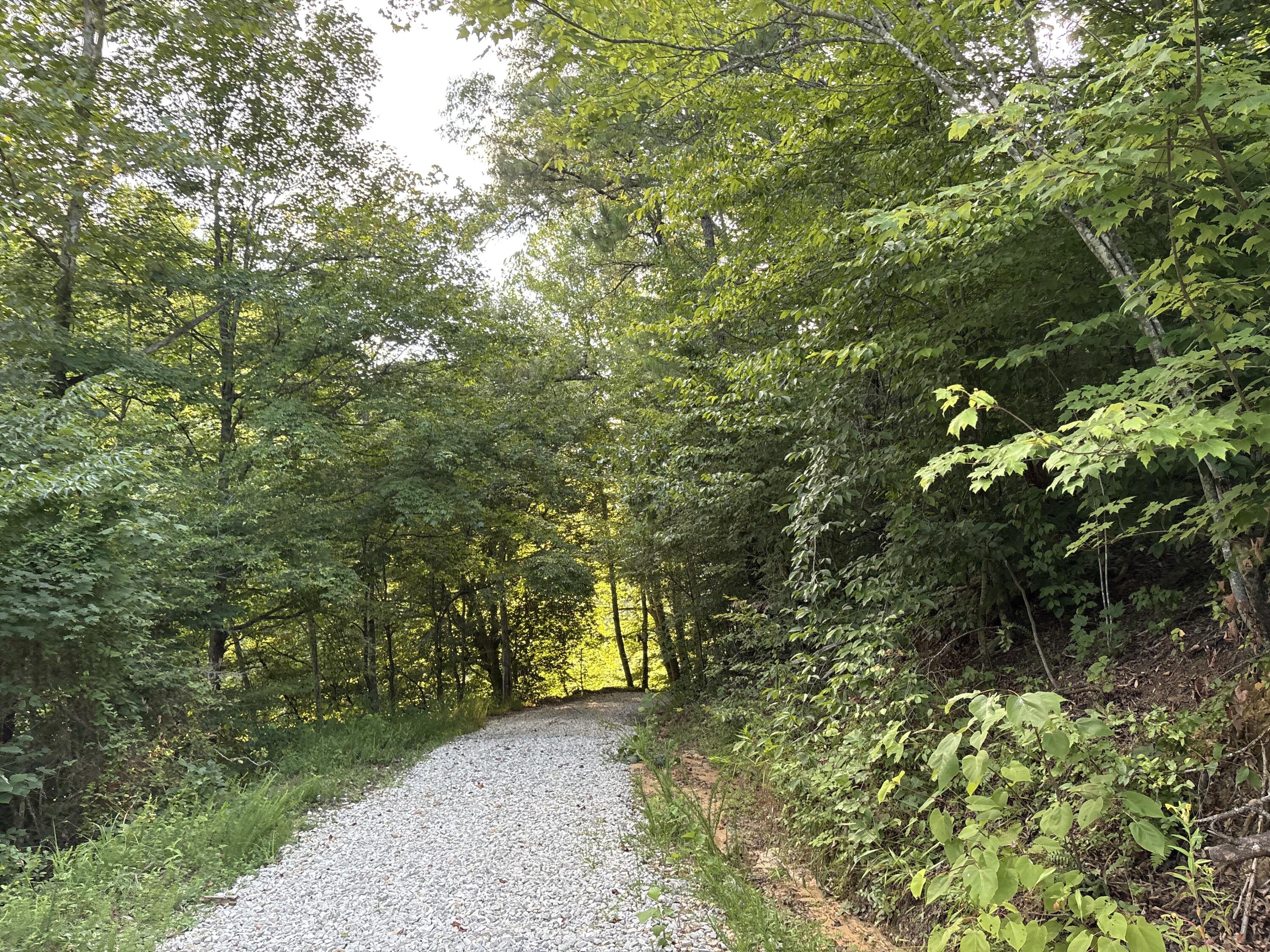 0 Spaws Creek Road Property Photo 2